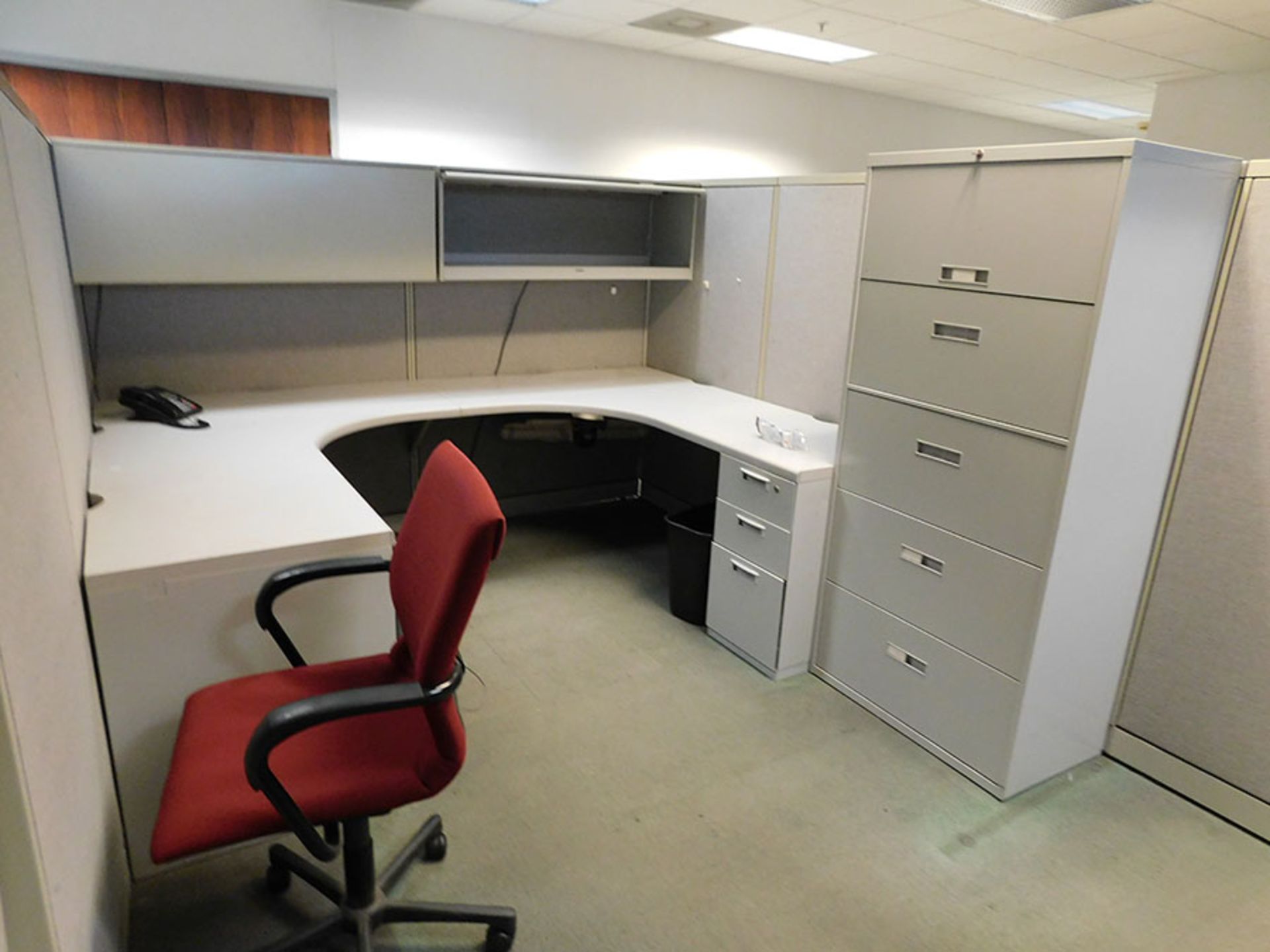 FIRST CUBICAL & SURROUNDING CABINETS - Image 5 of 5