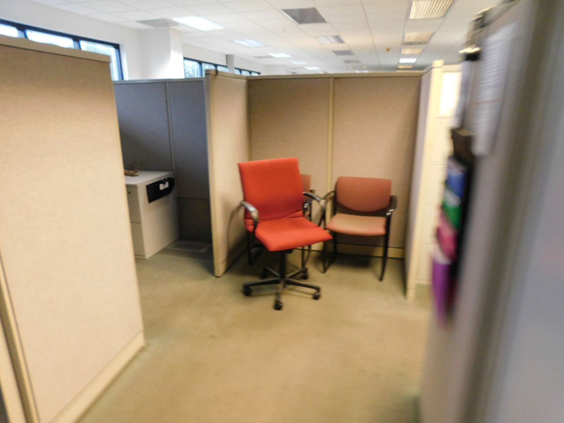 FIRST CUBICAL & SURROUNDING CABINETS - Image 2 of 5