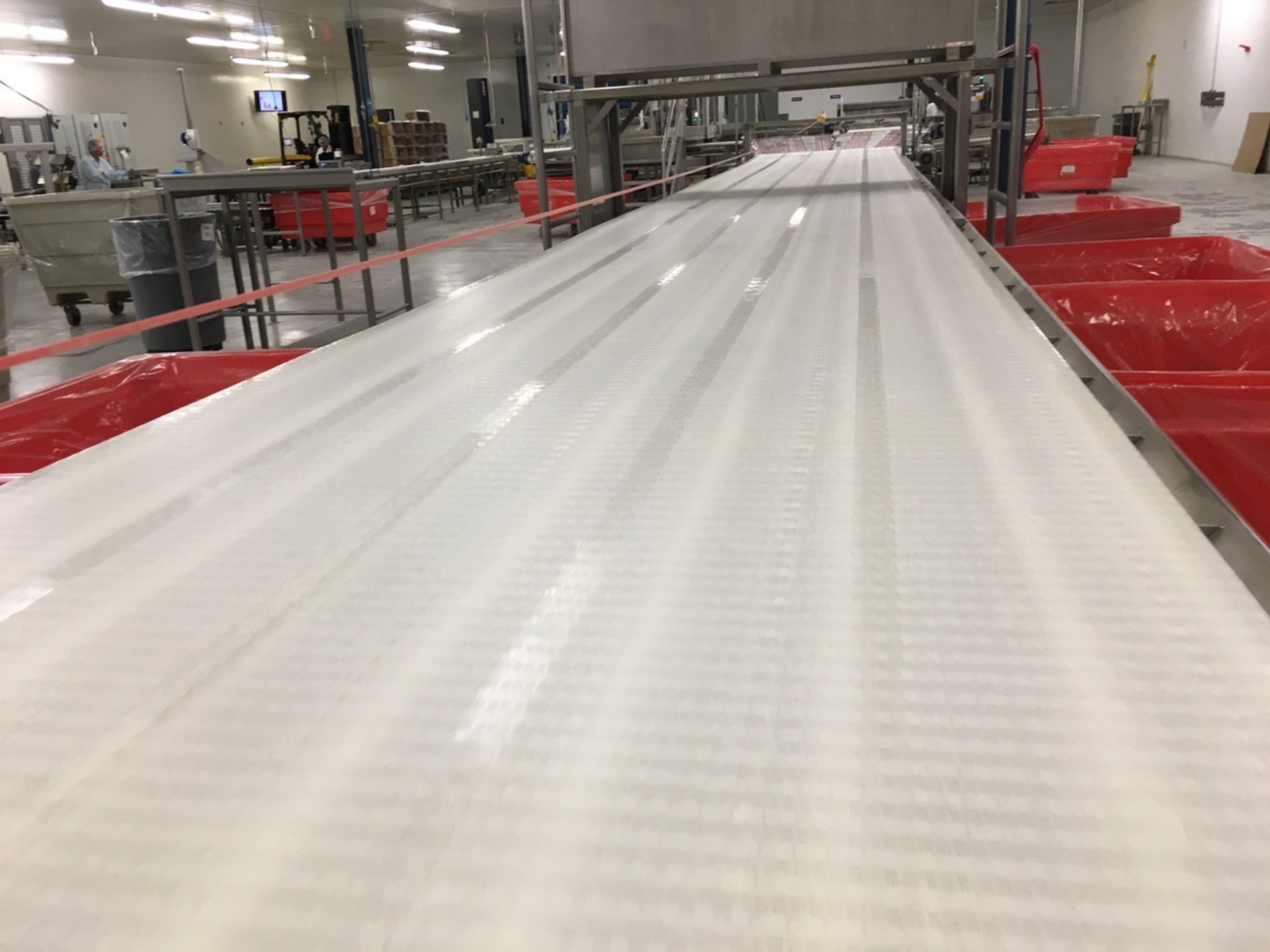 2013 Intralox Conveyor, Stainless Steel Frame, 48in Wide Belt, 48Ft Ov | Insp by Appt | Rig Fee: 500 - Image 2 of 4