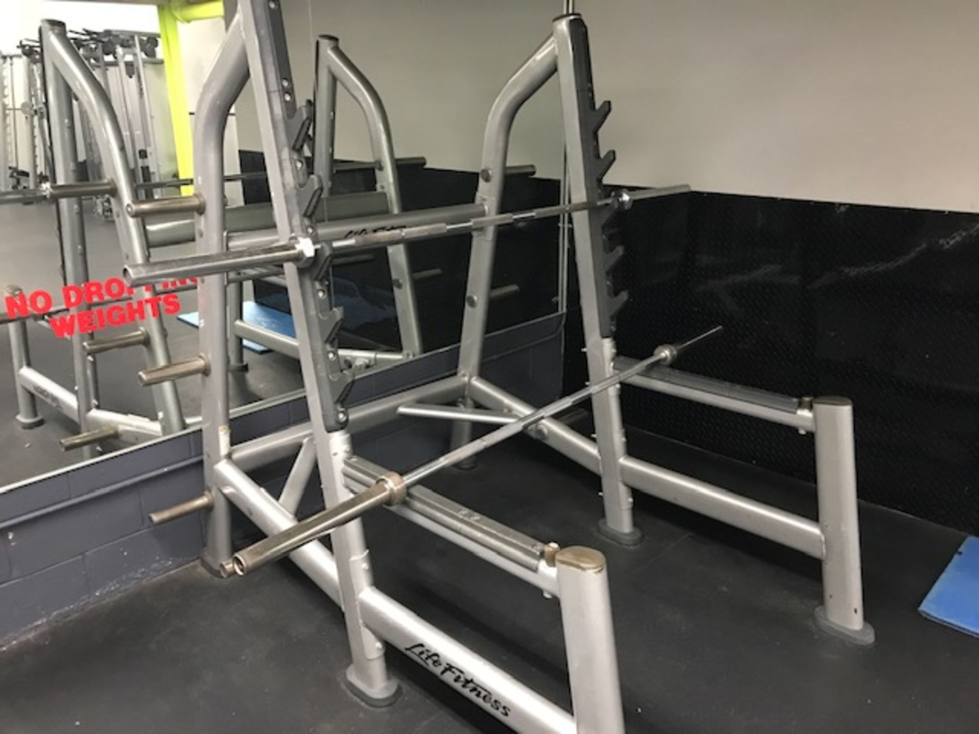 Life Fitness Olympic Squat Rack w/(2) Bars