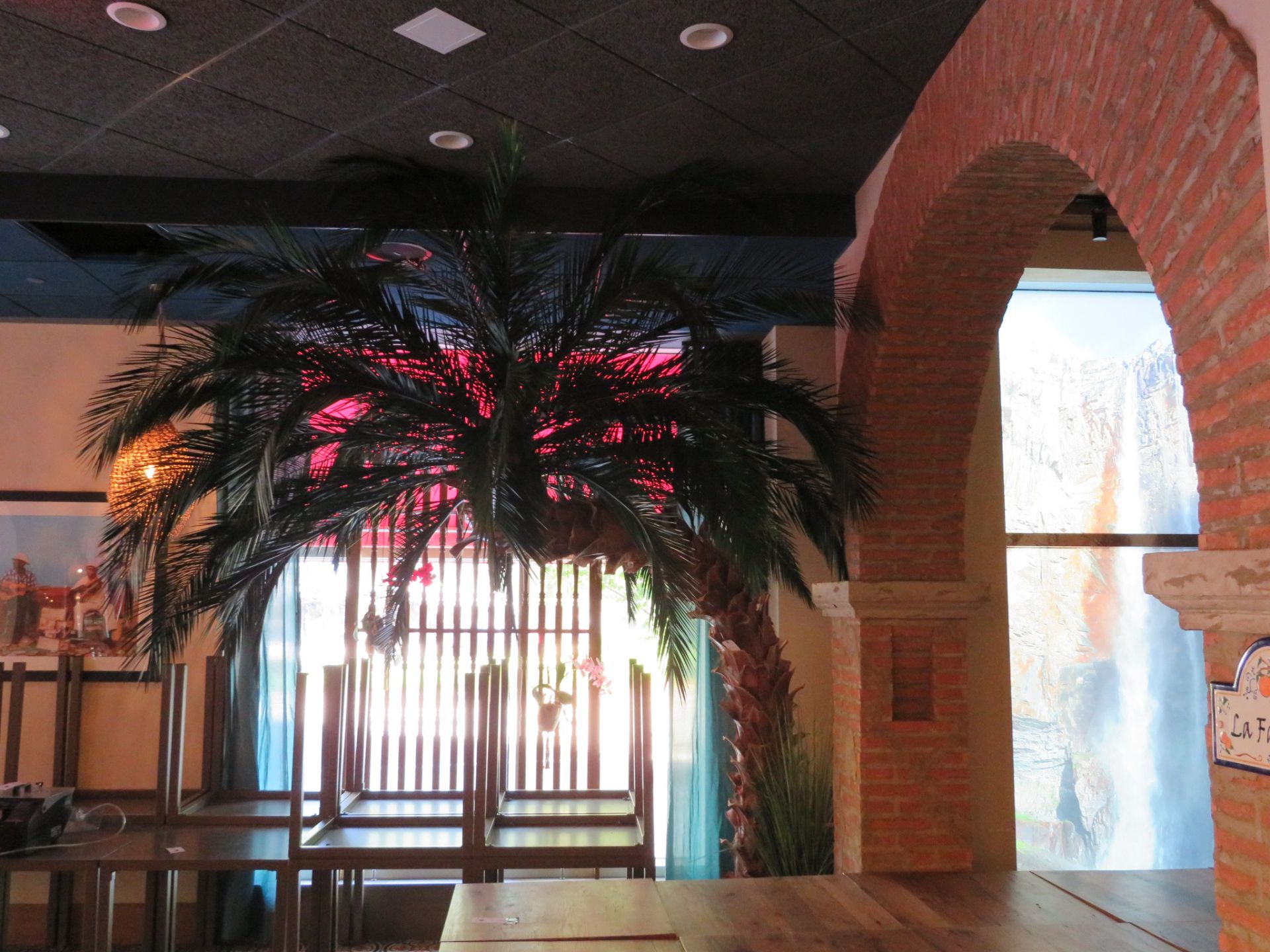 (Lot) Artificial Palm Trees Inside & Outside - Image 3 of 4