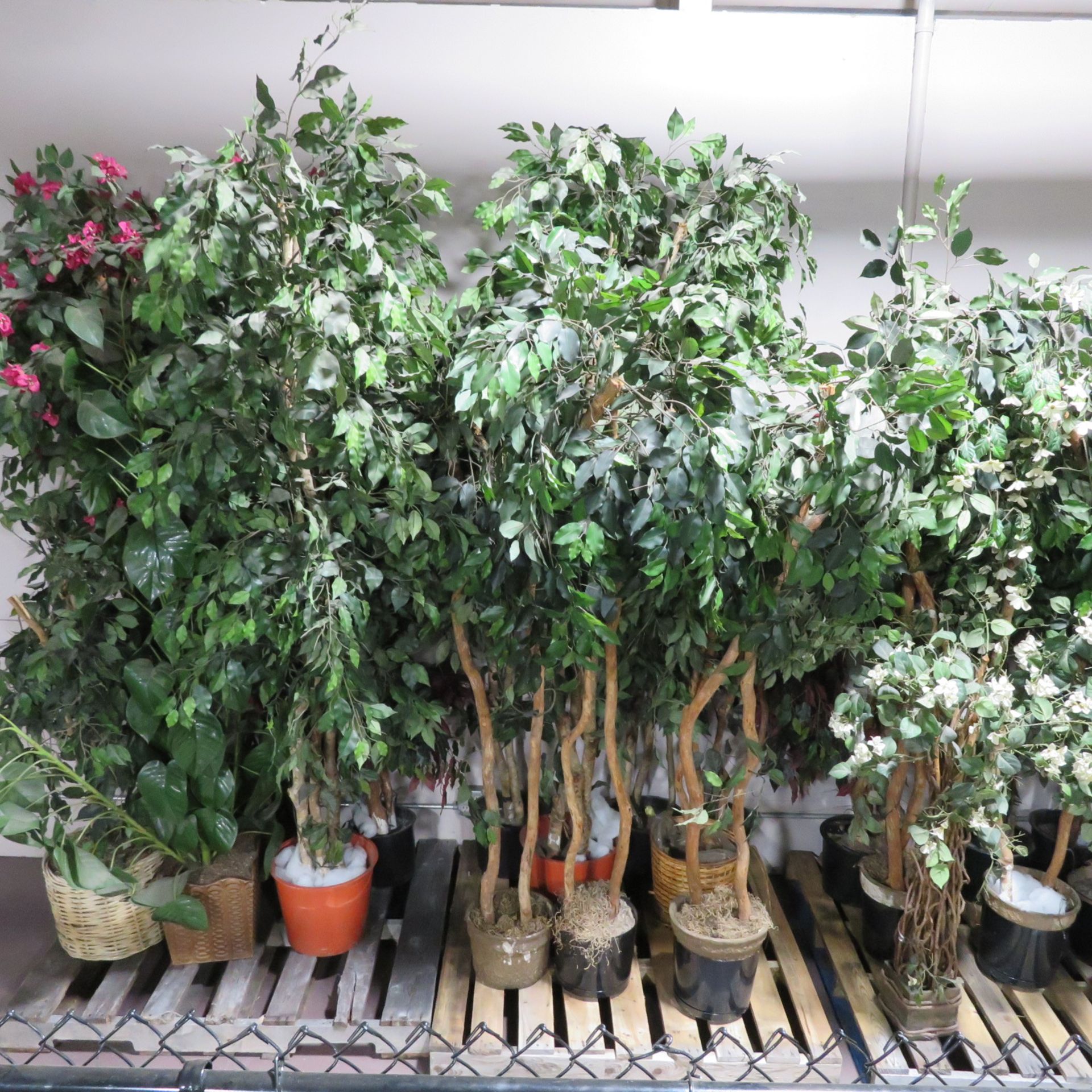 (Lot) Artificial Plants