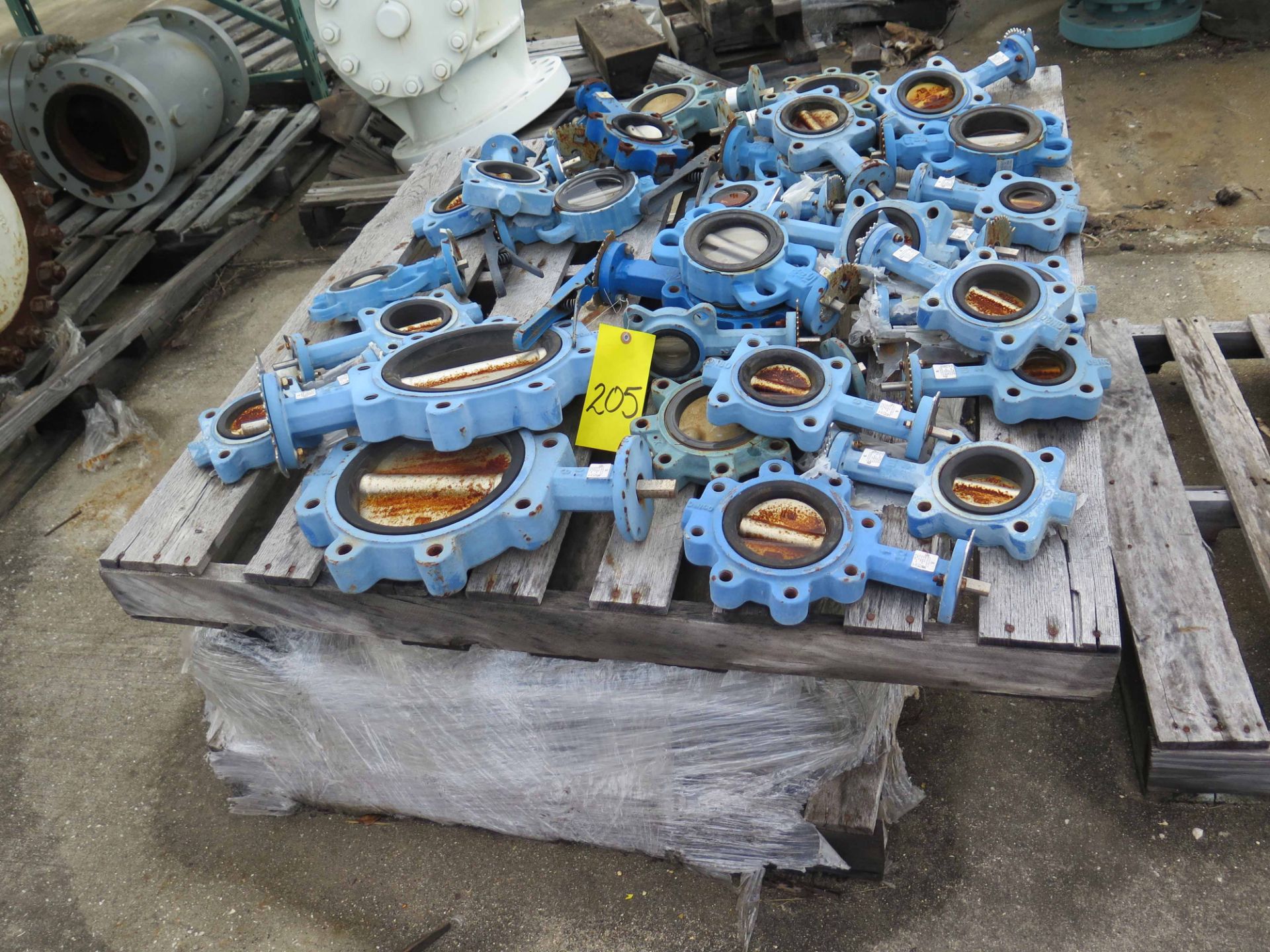 LOT OF BUTTERFLY VALVES: 2", 3", 4" & 8" (on one pallet)