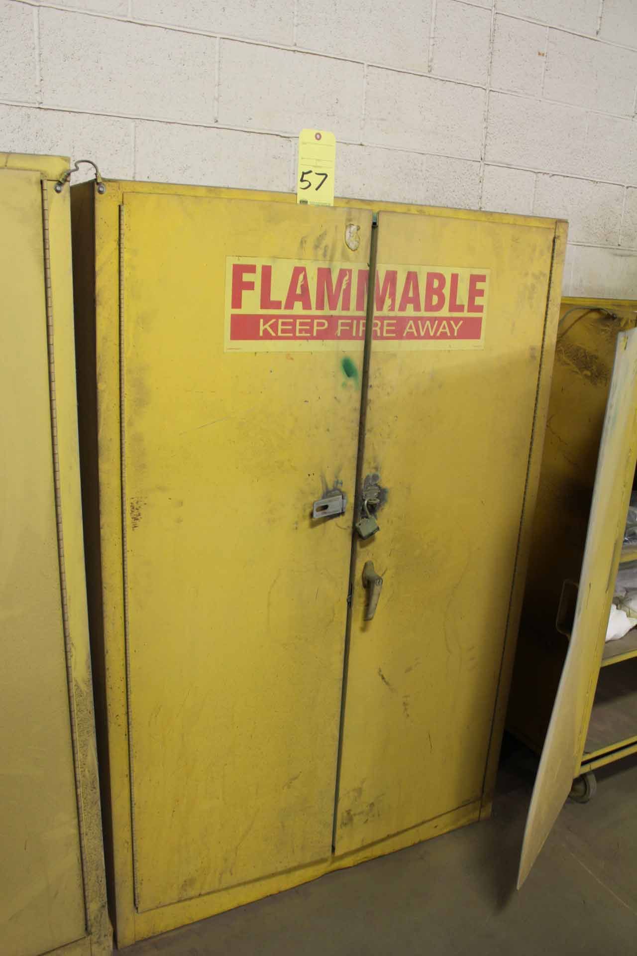 FLAMMABLE MATERIAL STORAGE CABINET, 2-door