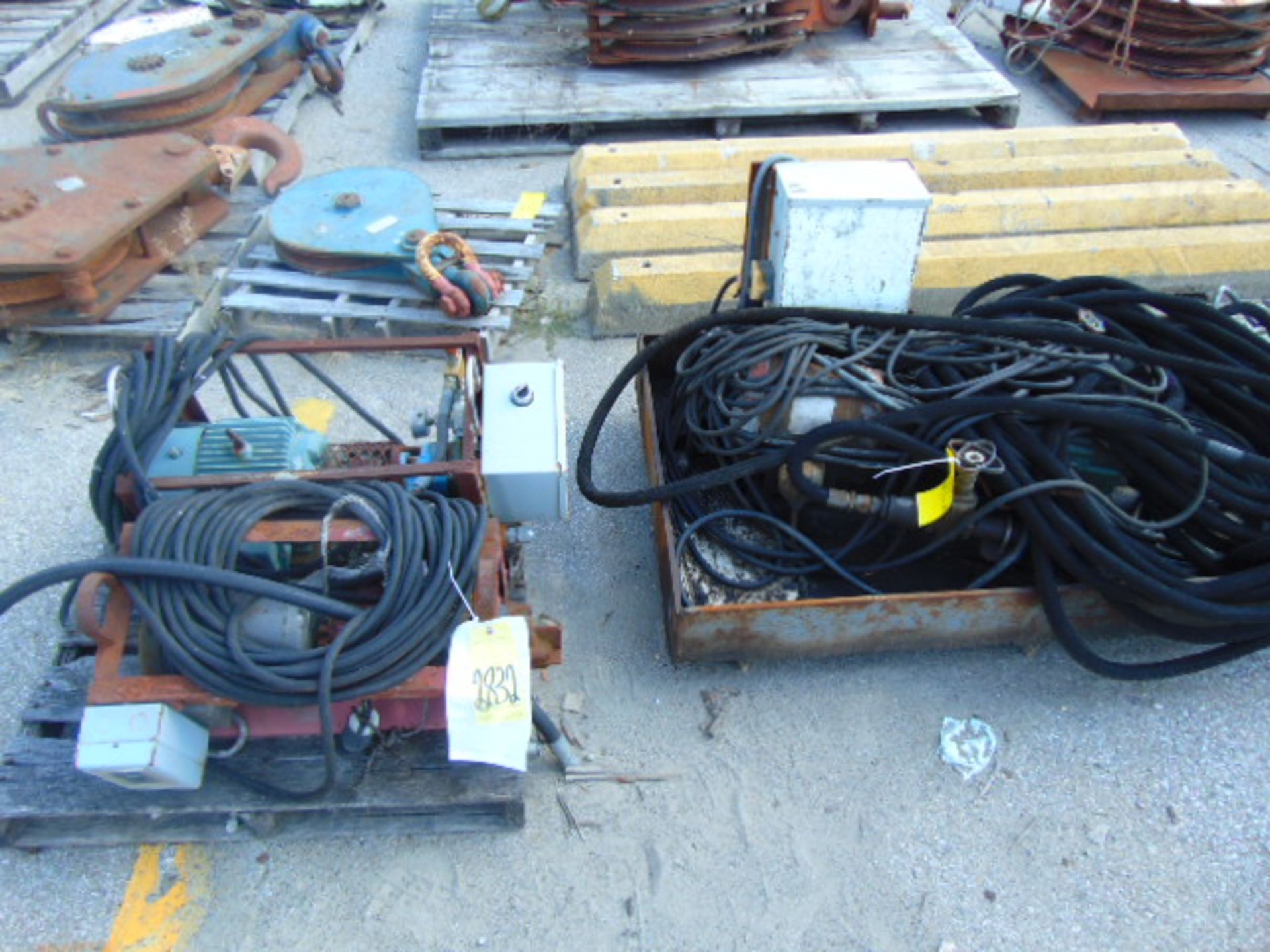 LOT OF ELECTRIC PUMPS (3), assorted (on two skids)