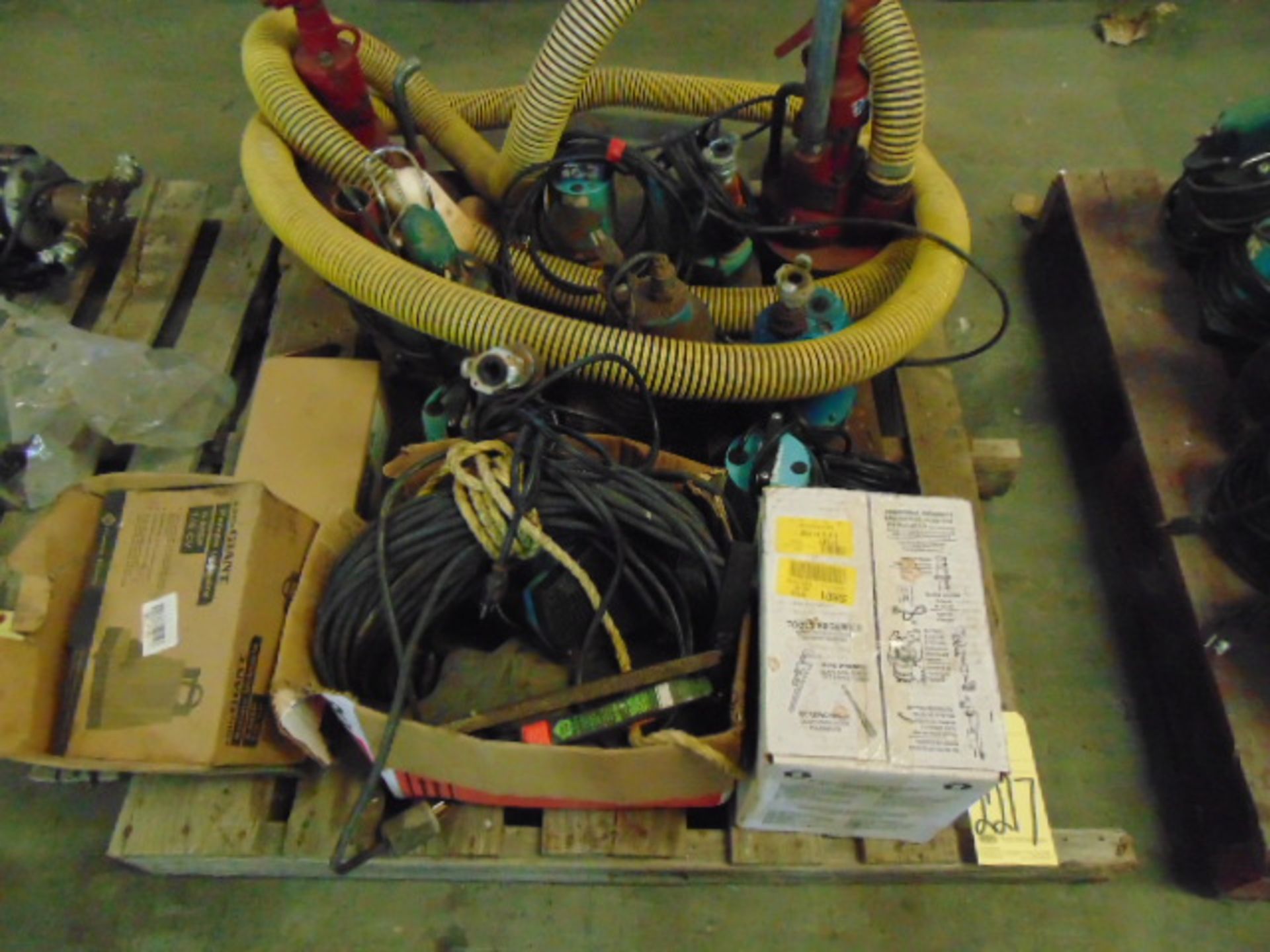 LOT OF ELECTRIC PUMPS, assorted (on one skid)