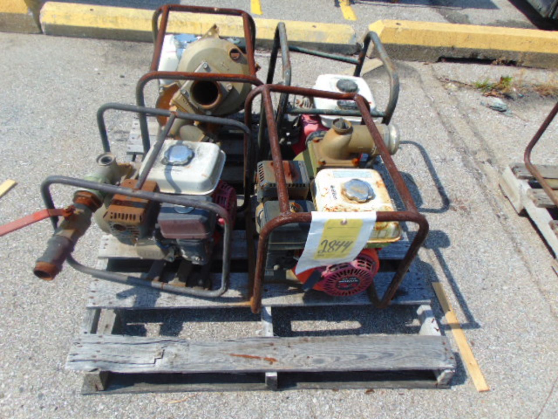 LOT OF GAS POWERED PUMPS (4) (on one skid)