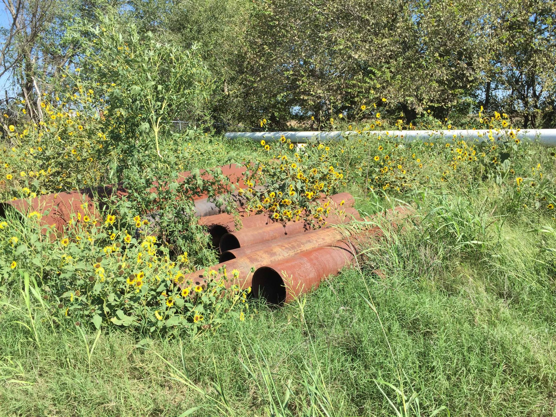 LOT OF SCRAP METAL (NORTH YARD) - Image 4 of 5