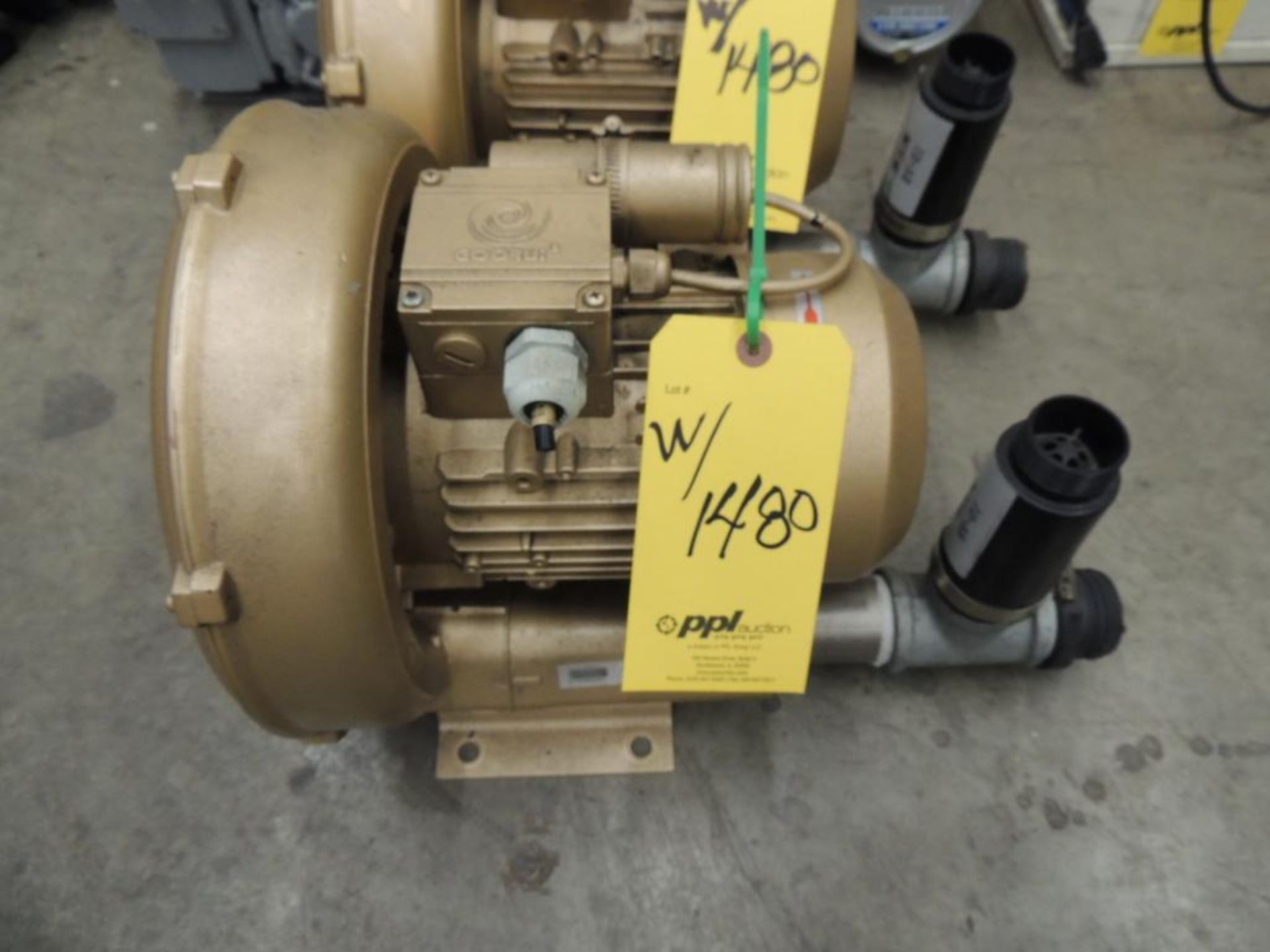 LOT: (3) Pumps, (2) Guru Regen 1.75 HP Blowers, (1) Dayton Model 3YU60A 1/2 HP Sprinkler Pump - Image 2 of 4