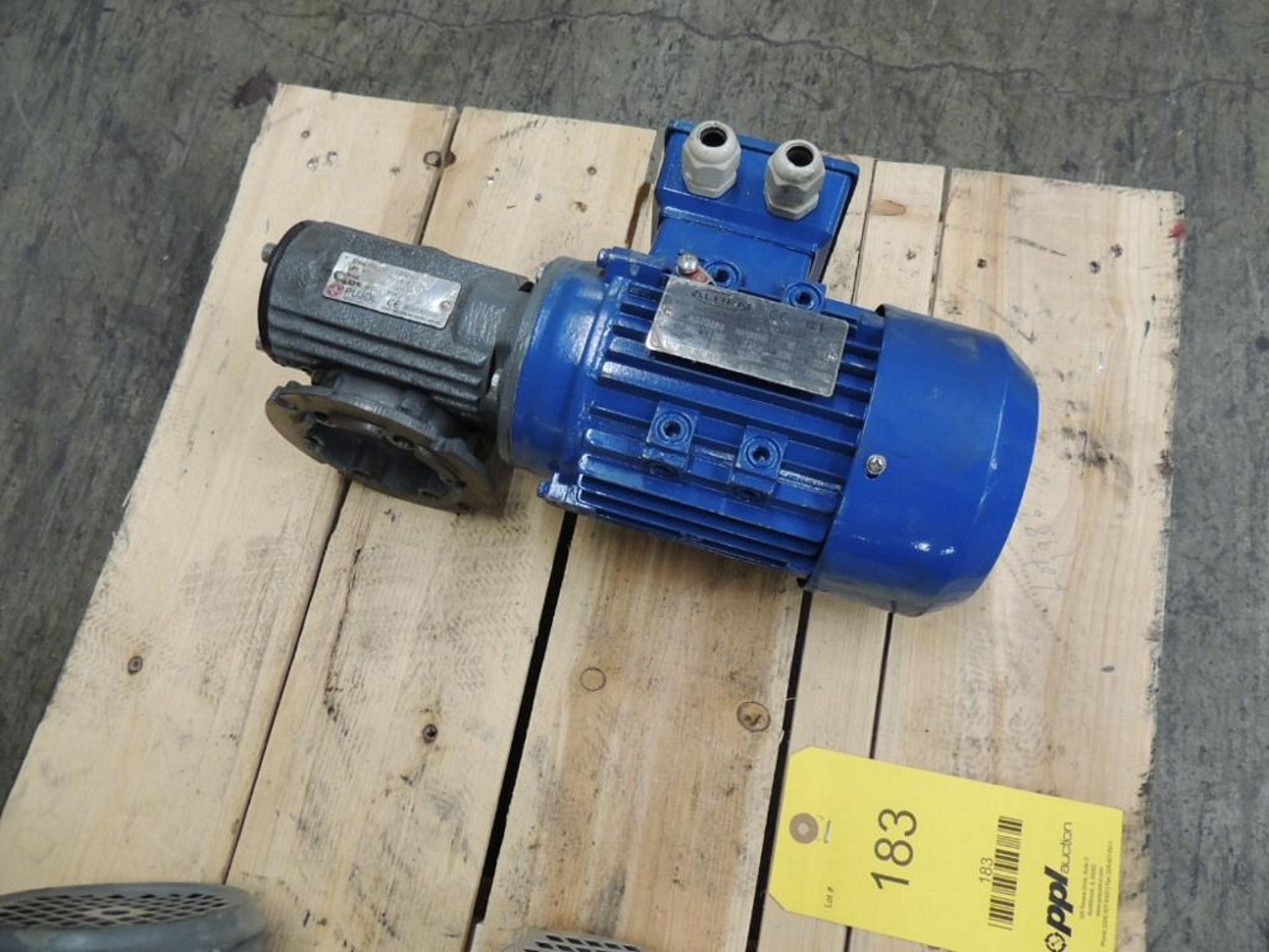 LOT: (1) Alren 50/60 Hz. W/ Pujol 90 Deg. Gear Reducer, (2) Siemens 60 Hz. Motors New, (1) Siemens 6 - Image 2 of 3