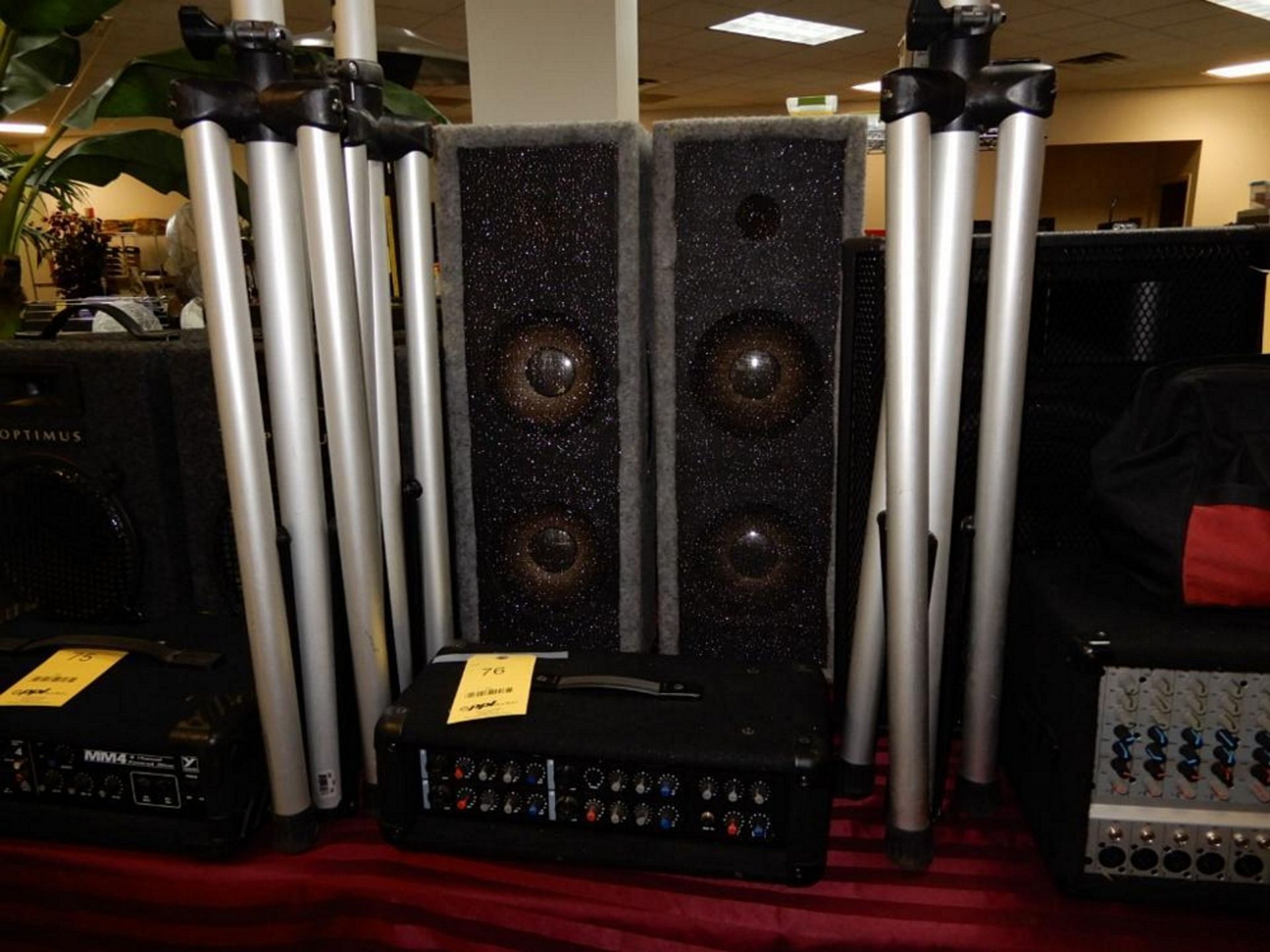 Sound System - 150W, (2) Speakers, (2) Stands, Microphone, Crate