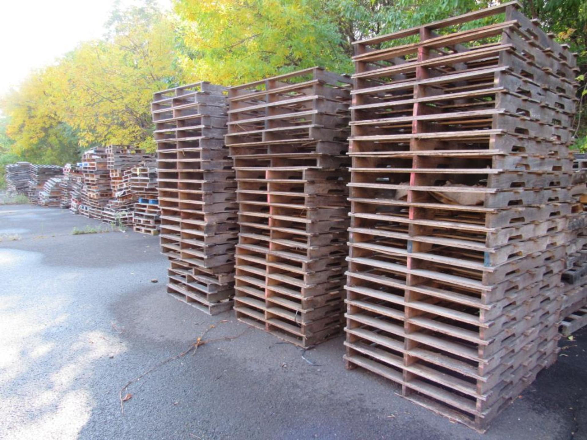 LOT: Approx. (600) Wooden Skids (various sizes) (Location J-2 across from Dock Doors)