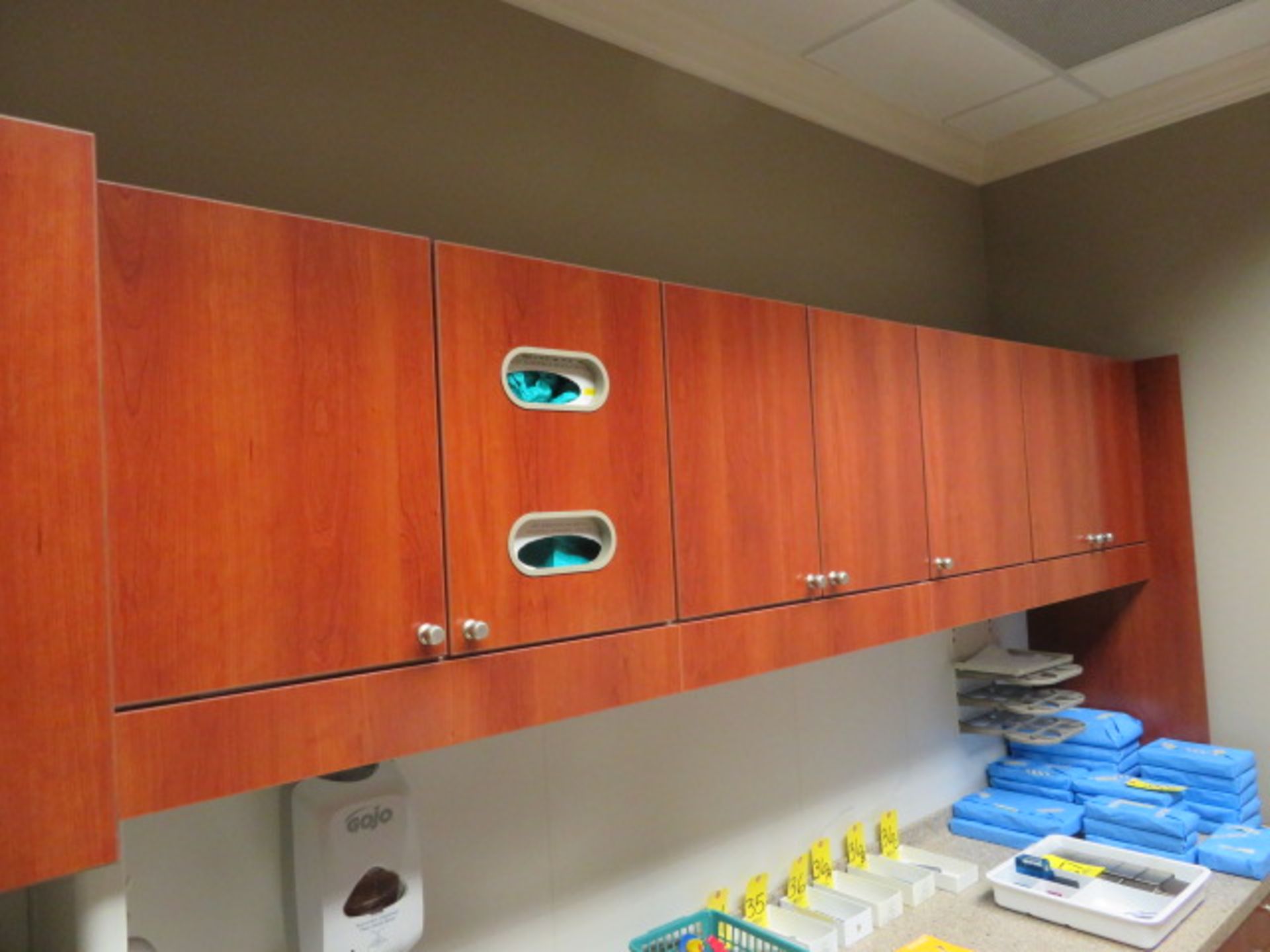 ADEC COMPLETE STERILIZATION CENTER- 2 SIDES W/ FOOT CONTROL OVERHEAD DOORS - Image 8 of 11