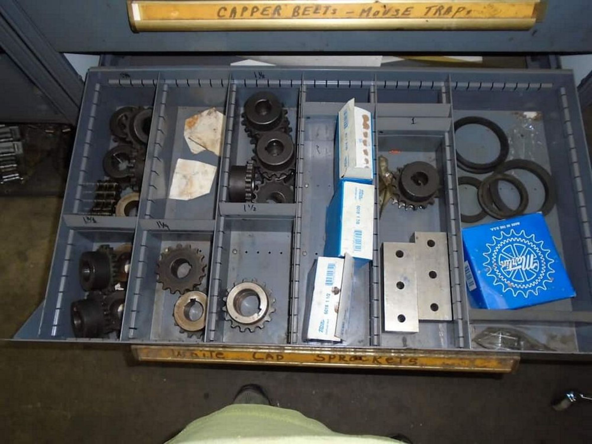 Shelves w/ drawers and contents ( O-rings, Cappers pins, Sprockets, Chain fittings, Capper belts, - Image 9 of 11