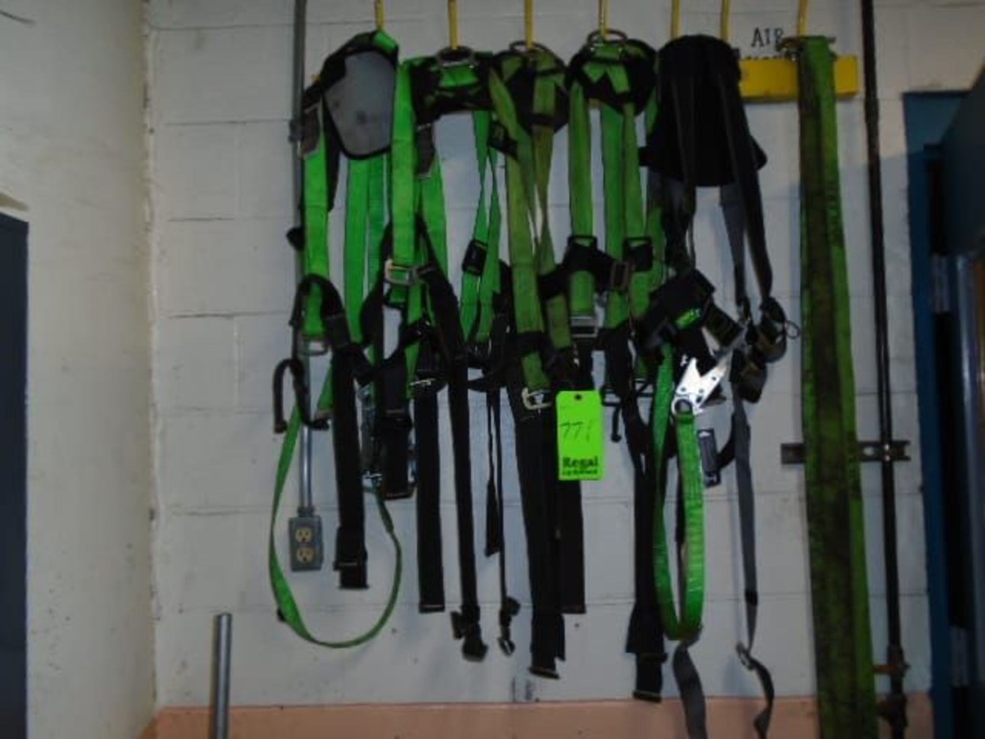 Assorted Safety Harnesses