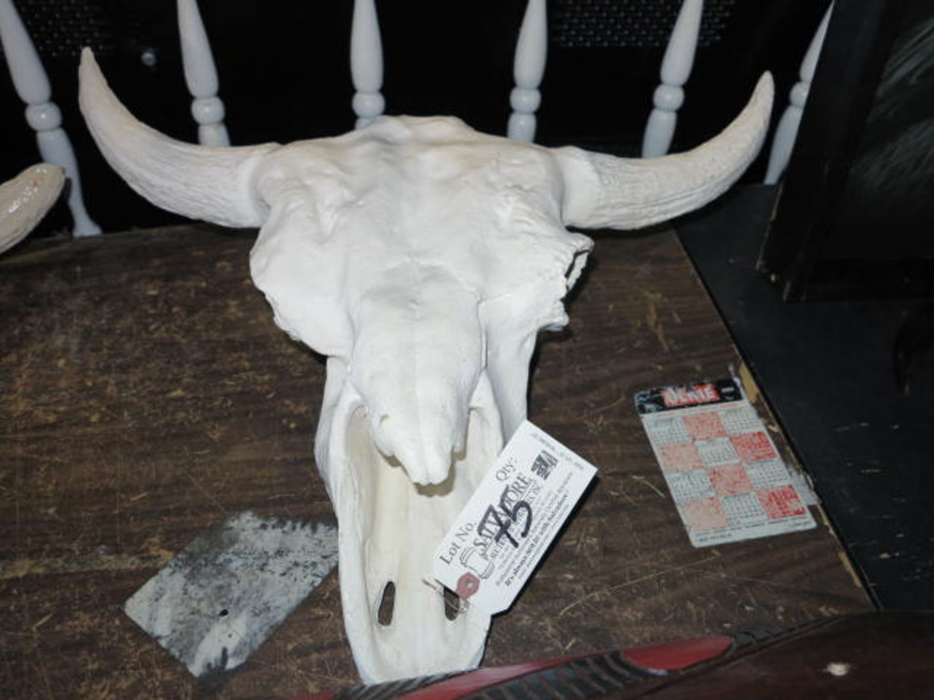 Plaster Cow Skull and Horn