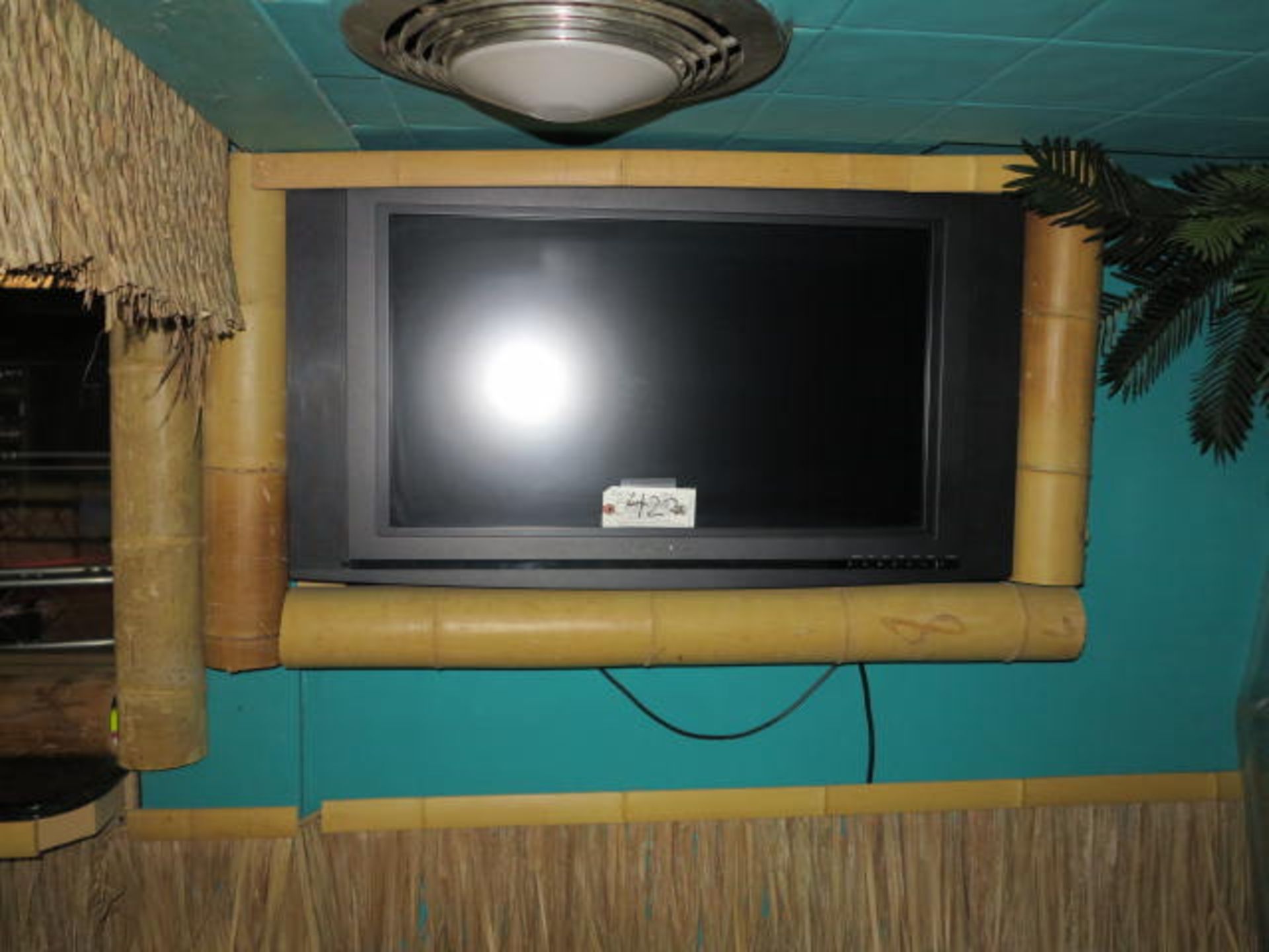 Olevia 30'' Flat Screen TV