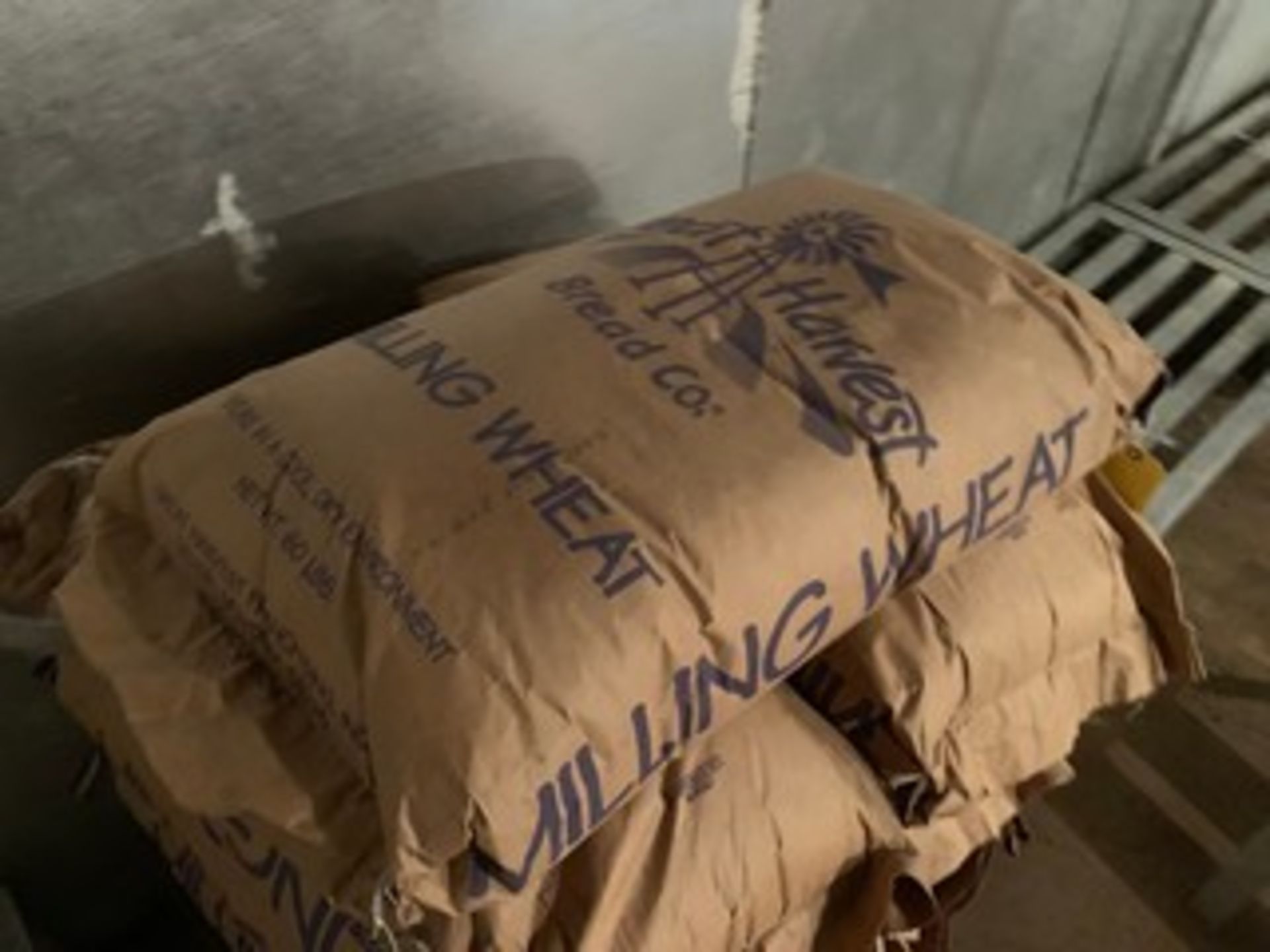 LOT MILLING WHEAT (GOLD BAGS) - Image 2 of 2