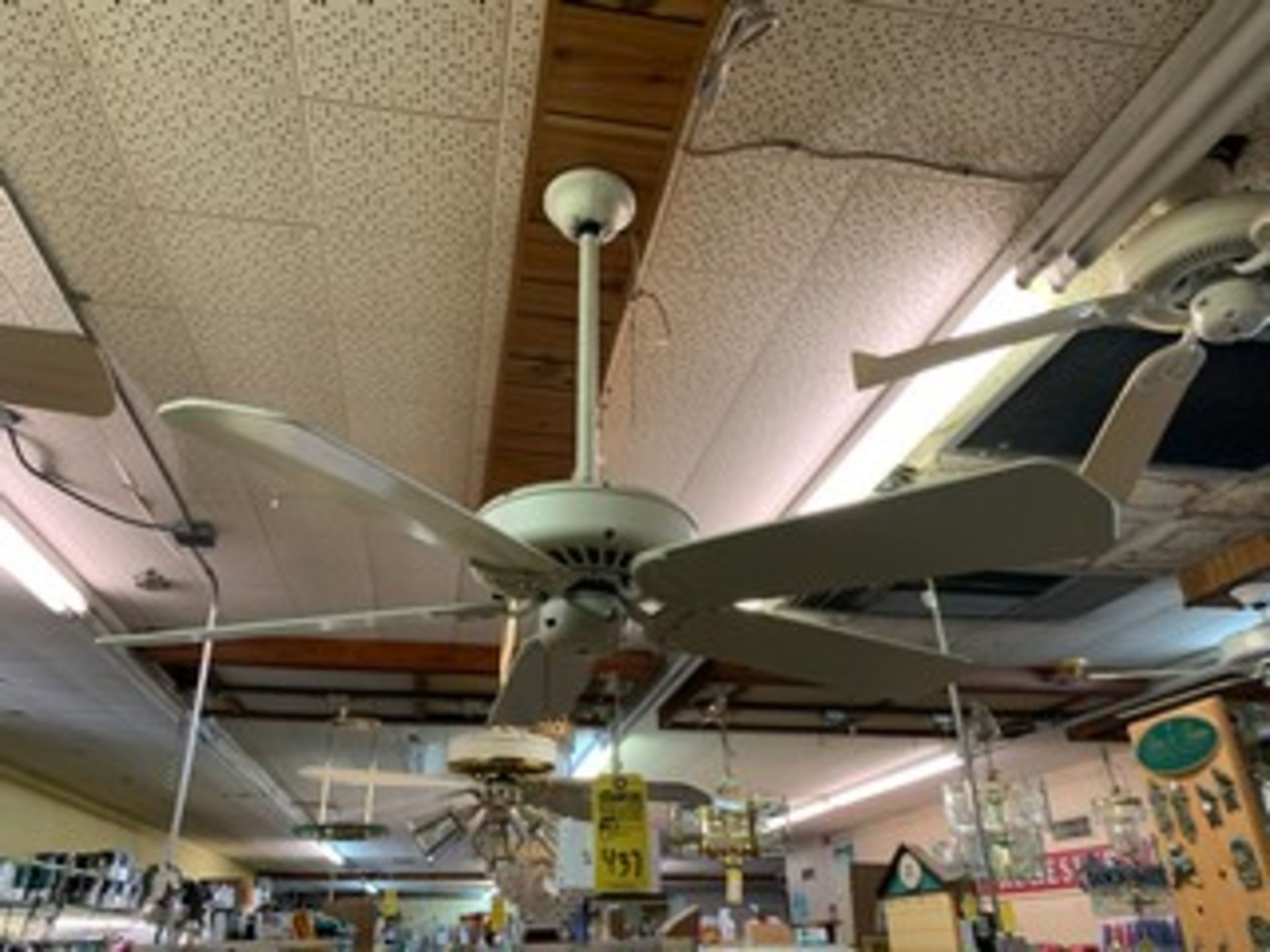 ASSORTED CEILING FANS - WHITE / OFF-WHITE