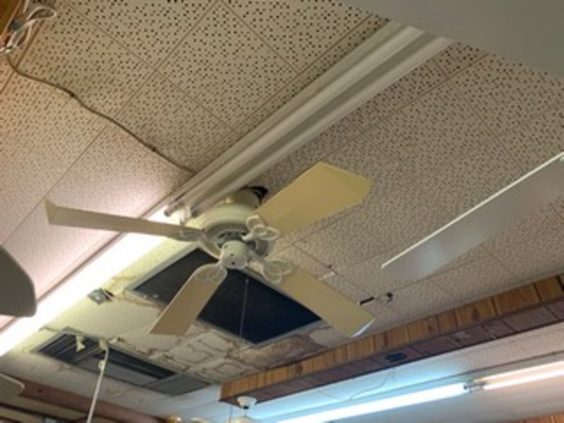 ASSORTED CEILING FANS - WHITE / OFF-WHITE - Image 2 of 4