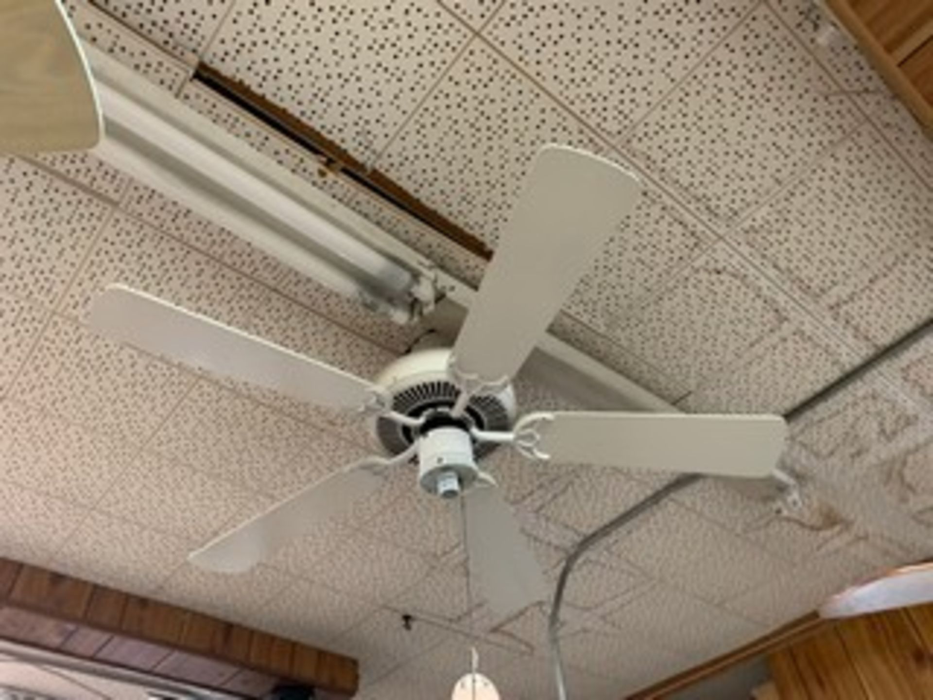 ASSORTED CEILING FANS - WHITE / OFF-WHITE - Image 4 of 4