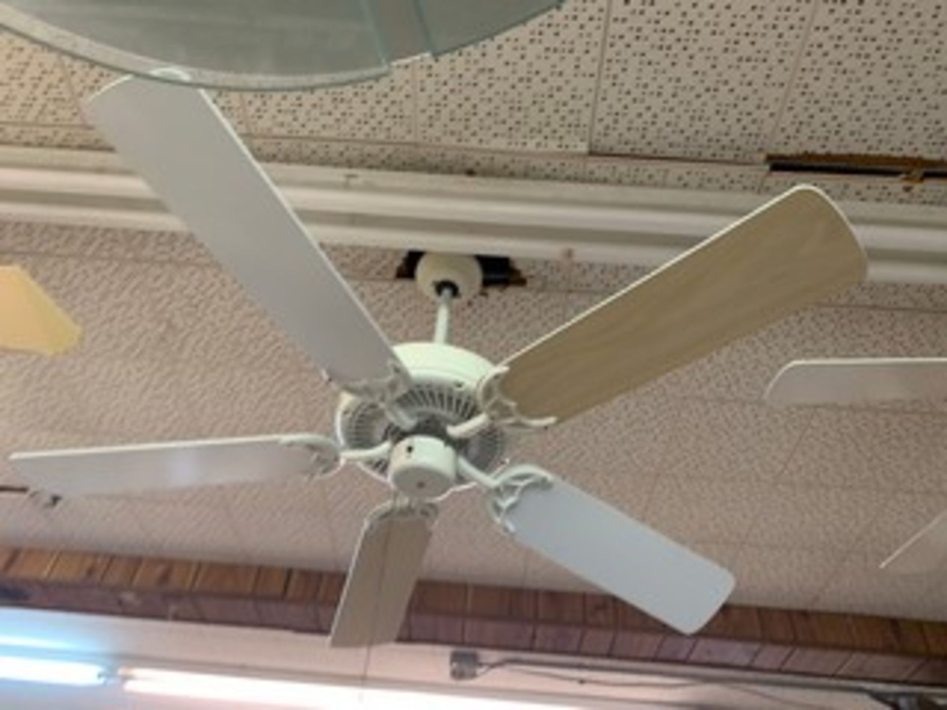 ASSORTED CEILING FANS - WHITE / OFF-WHITE - Image 3 of 4