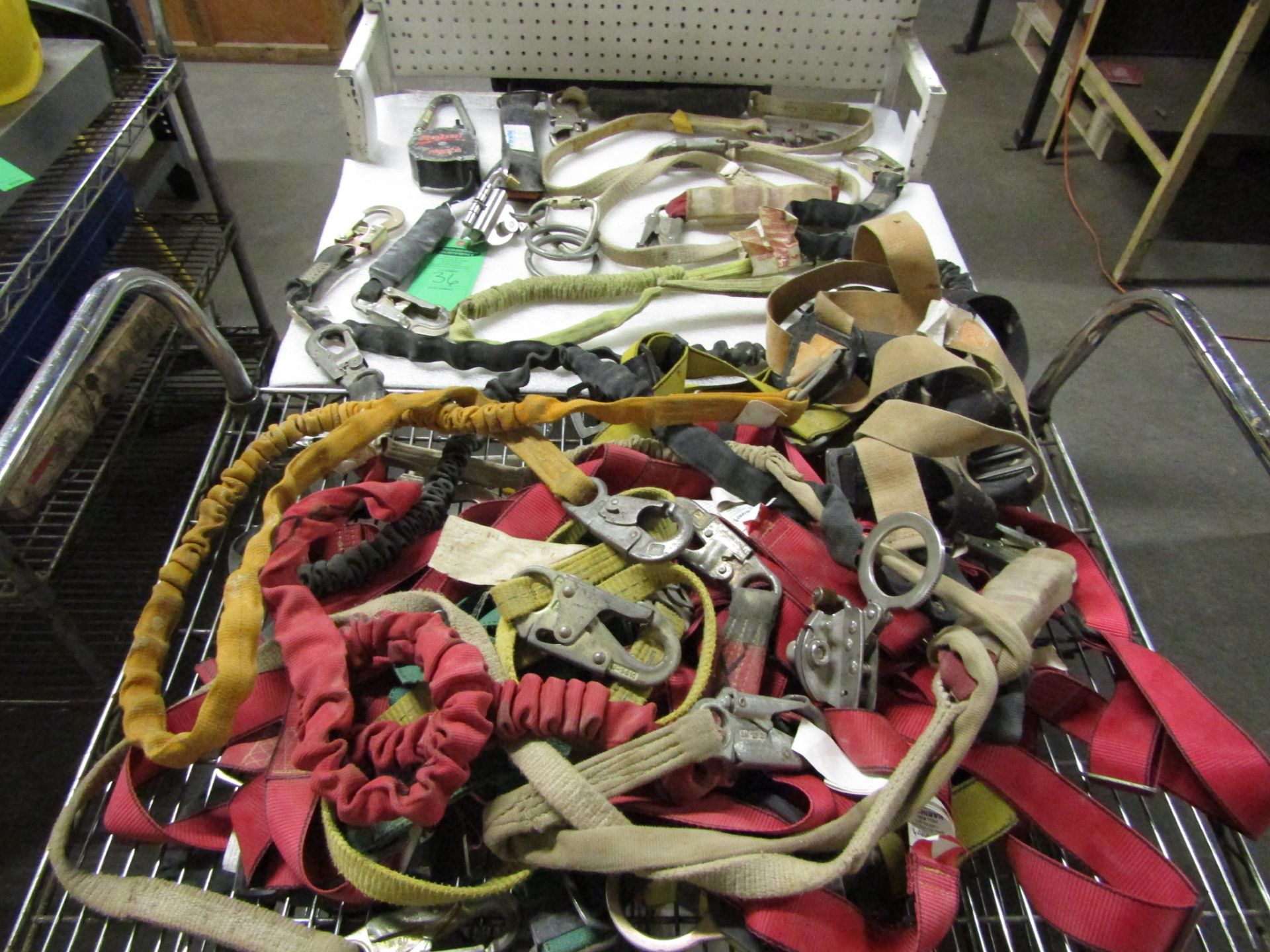 Lot of assorted sized harnesses