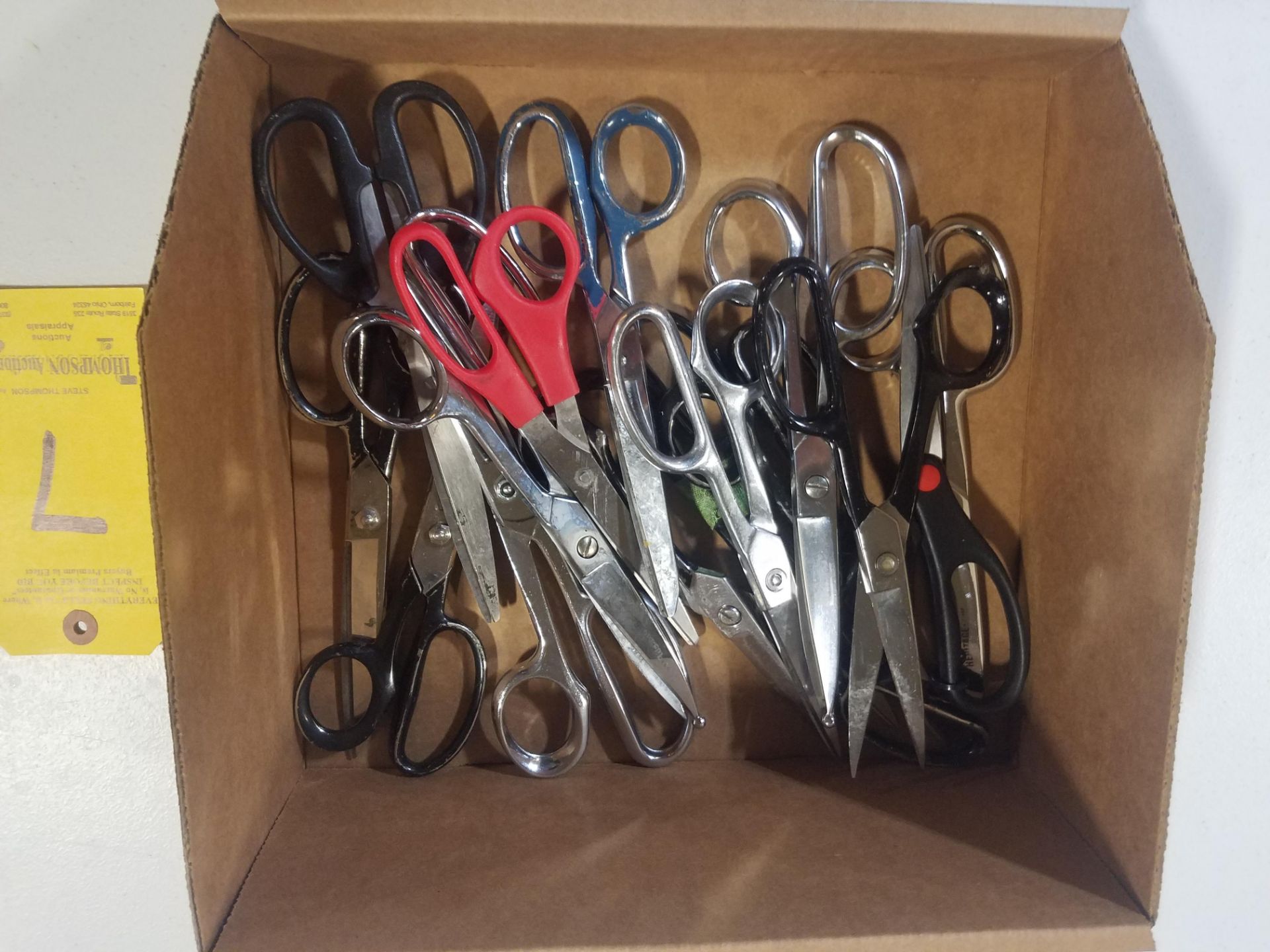 Lot, Scissors