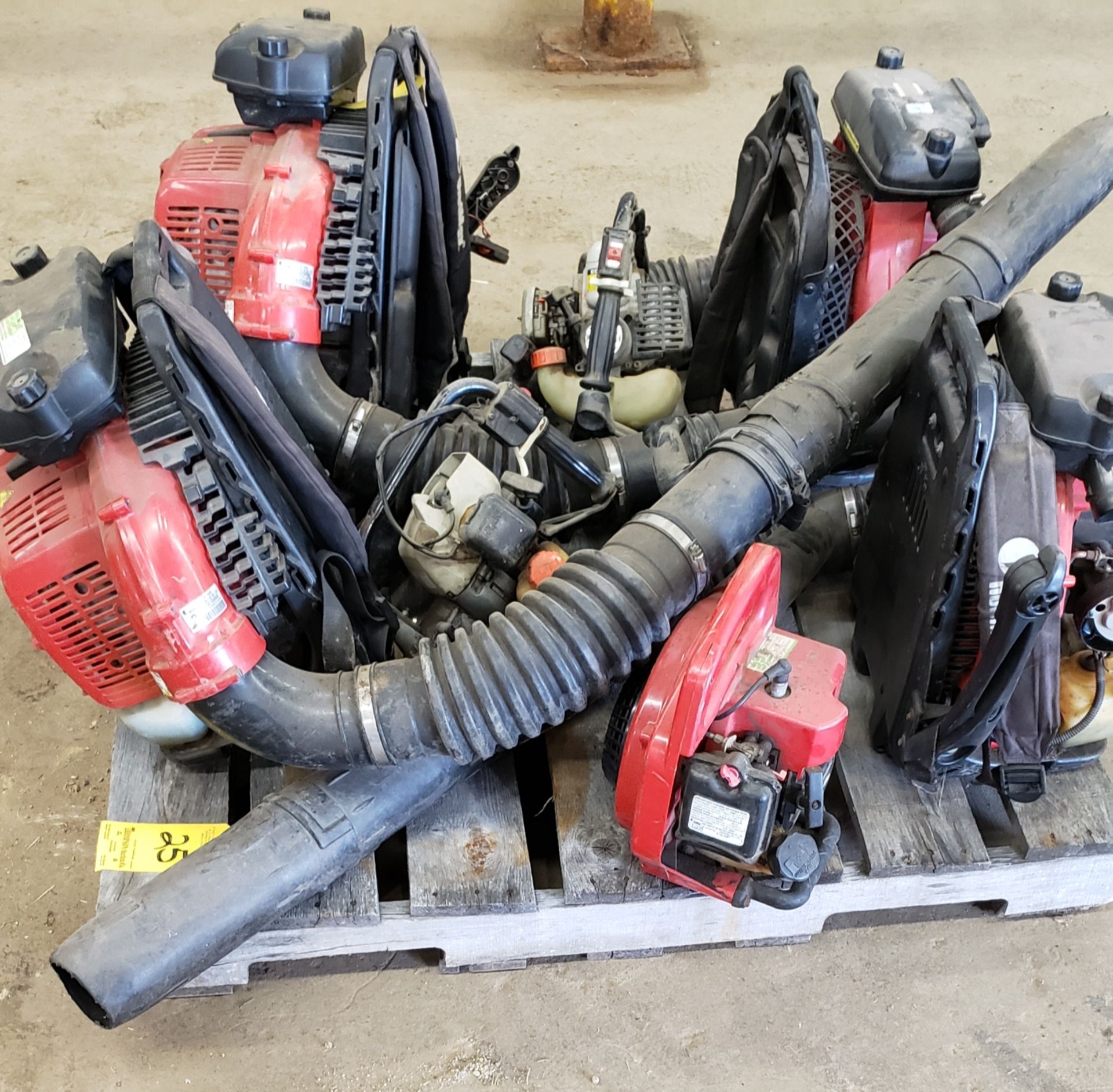 Assorted Gas-Powered Blowers (Condition Unknown)