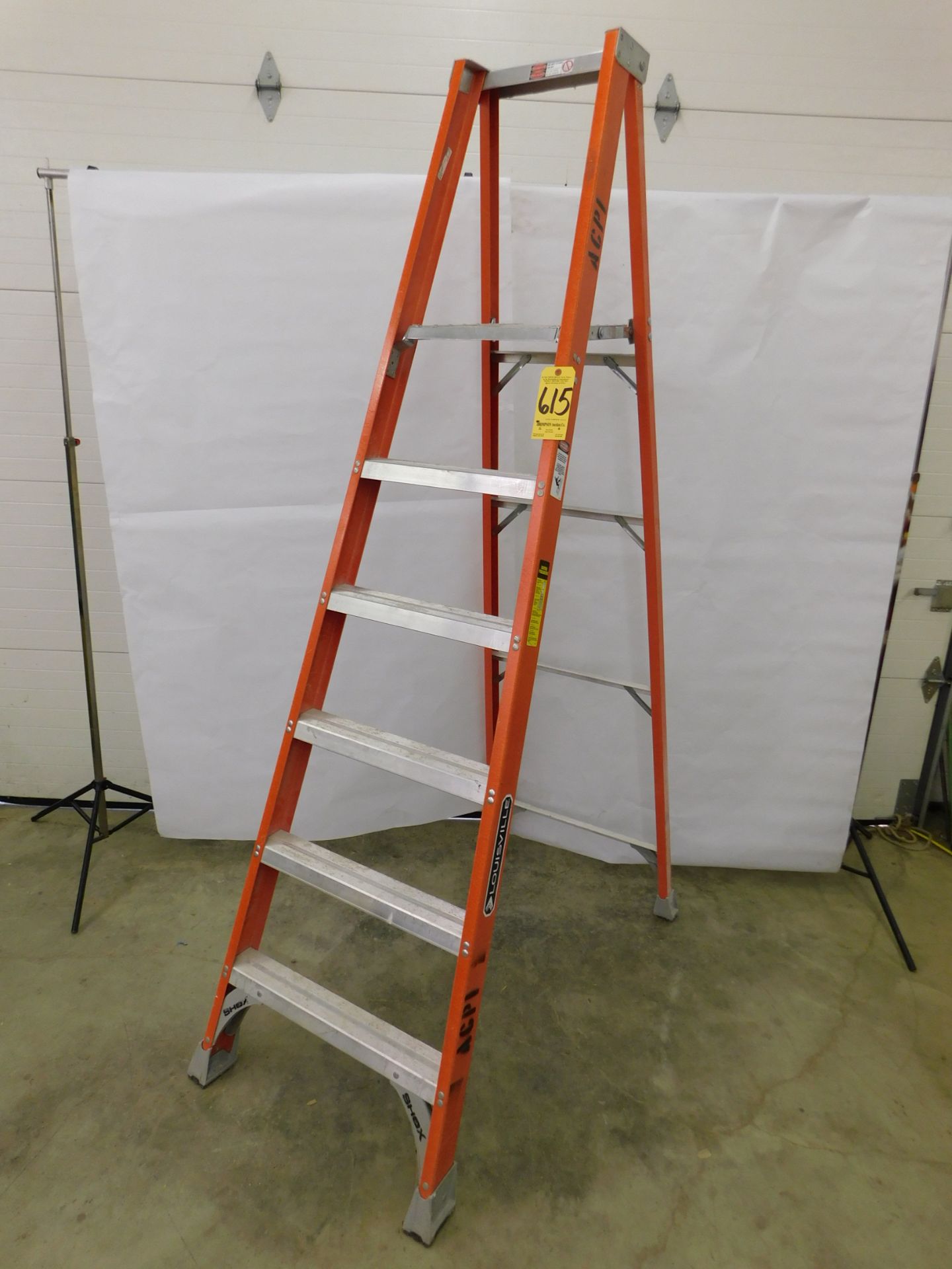 Louisville 6' Fiberglass Platform Ladder
