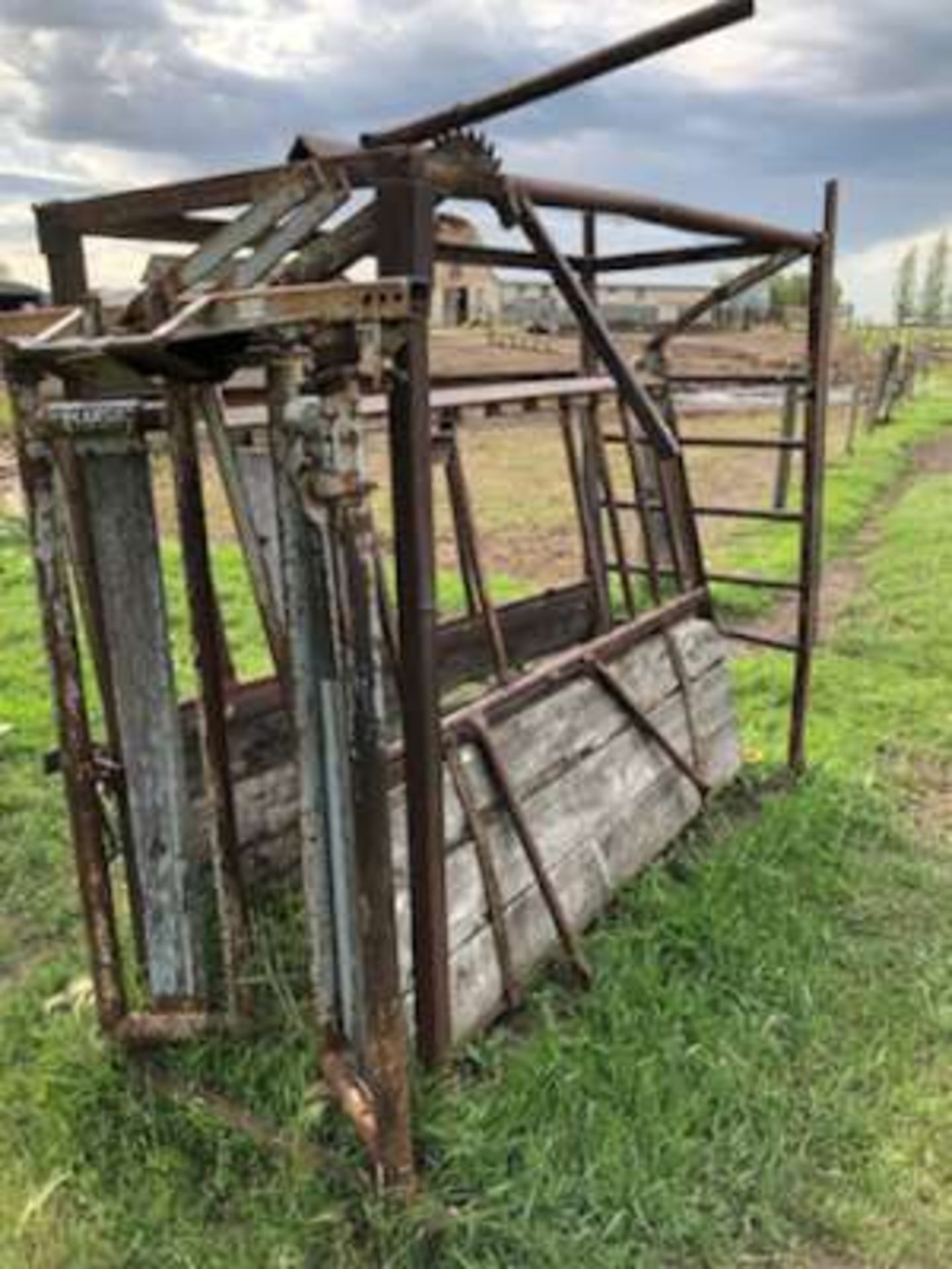 Pearson livestock squeeze gate - Image 3 of 3