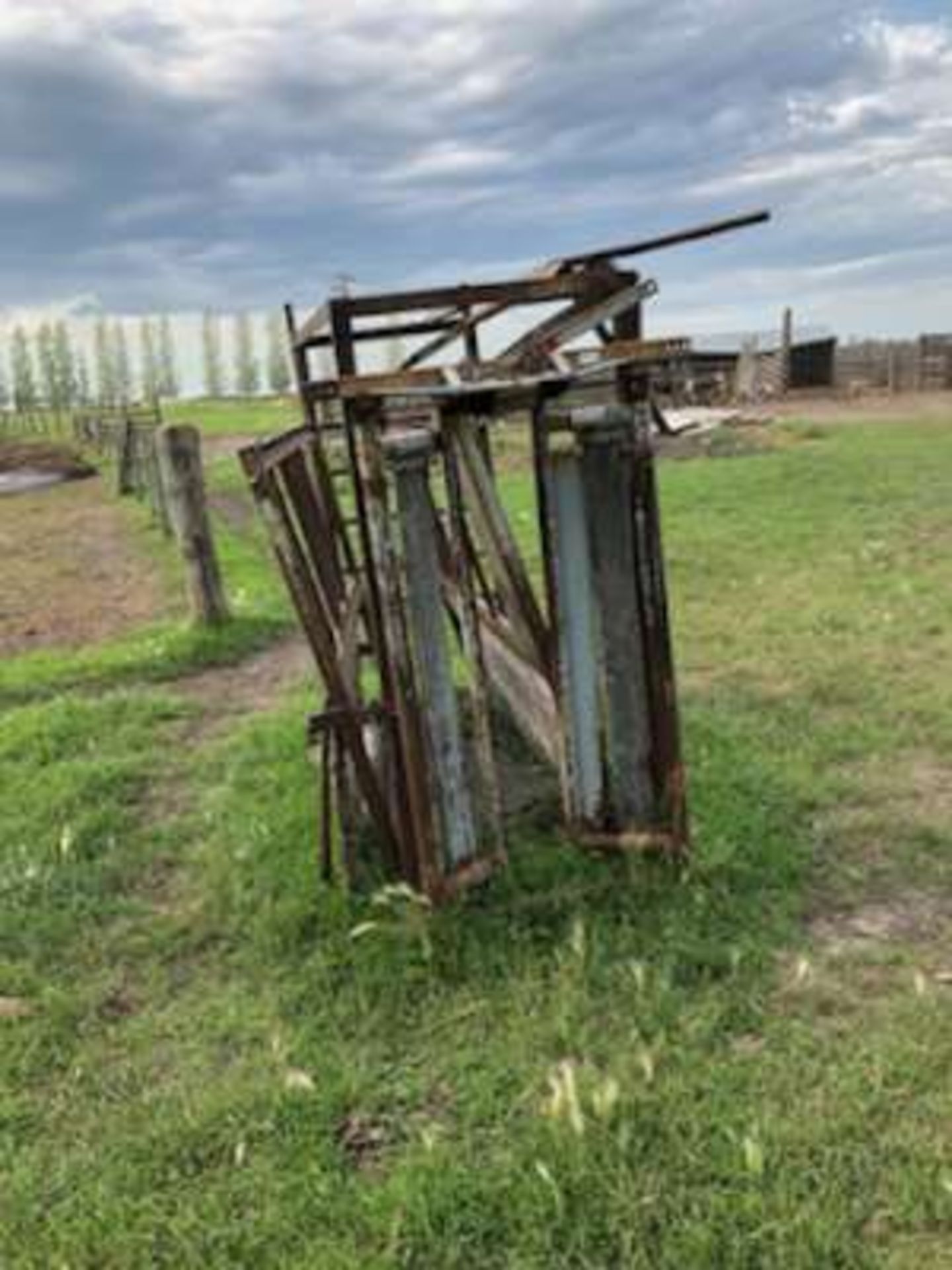 Pearson livestock squeeze gate - Image 2 of 3