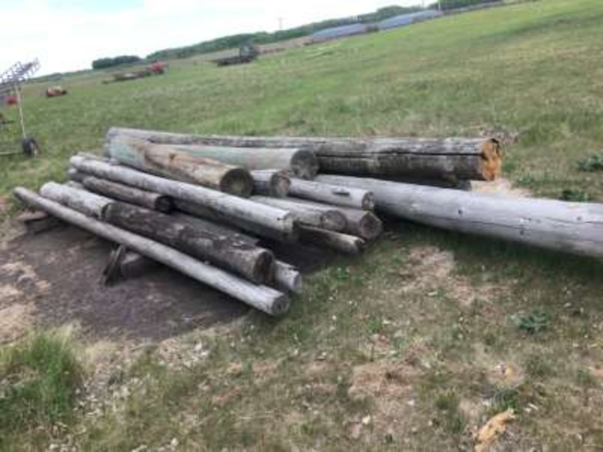 Power poles (about 25 various sizes)