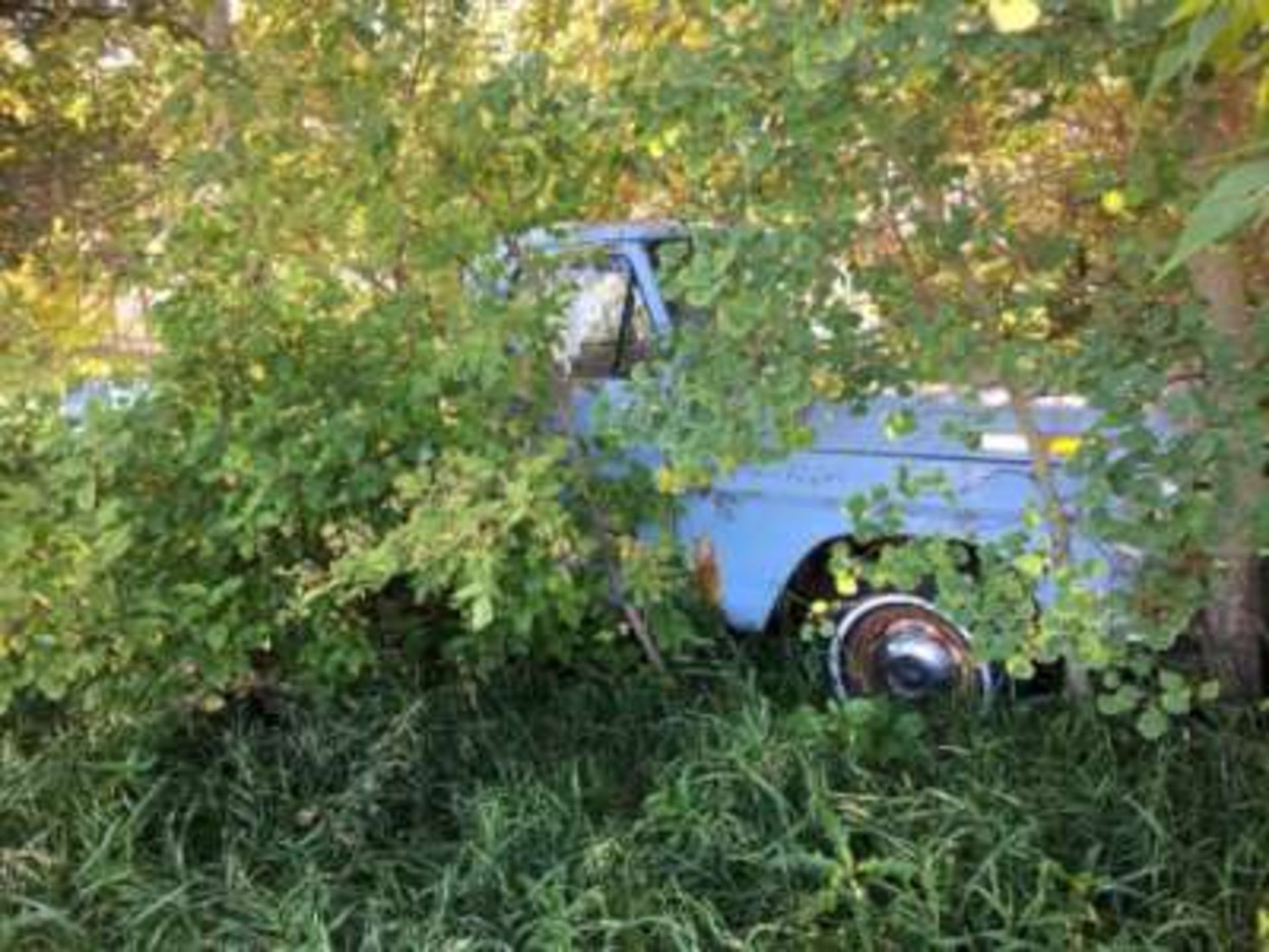 Old truck (located in the bush)