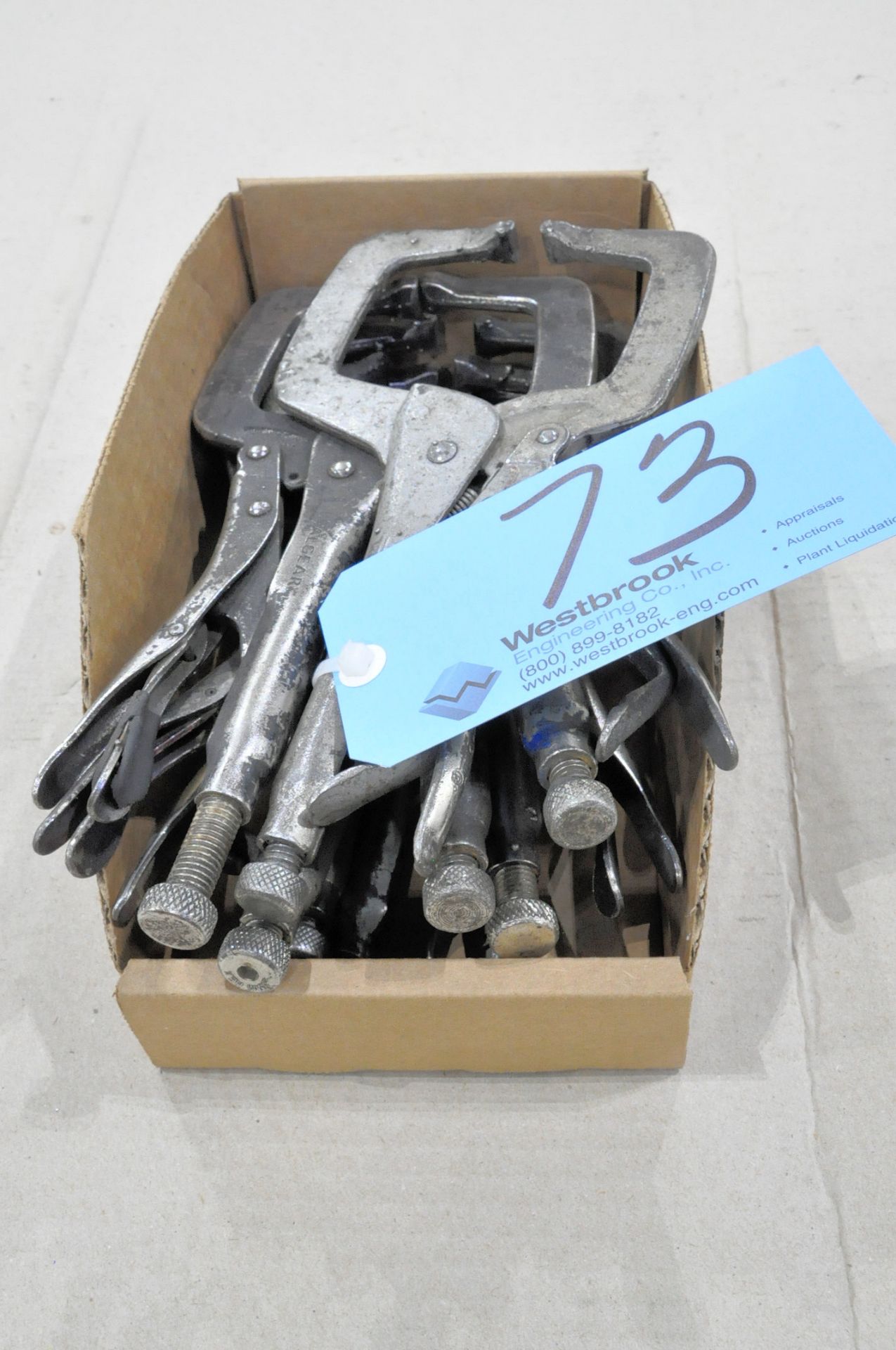 Lot-Vise Grip Clamps in (1) Box