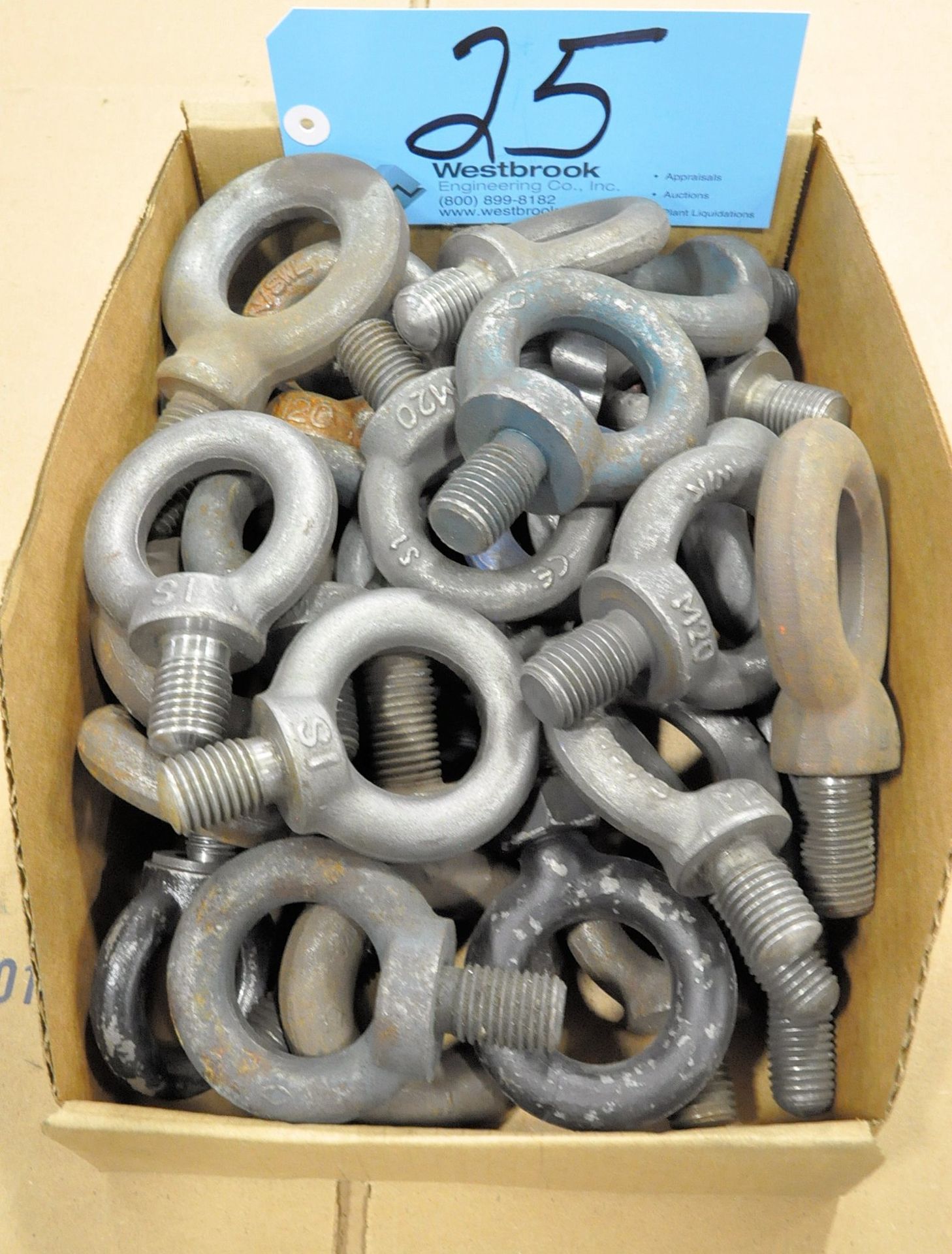 Lot-Eye Bolts in (1) Box