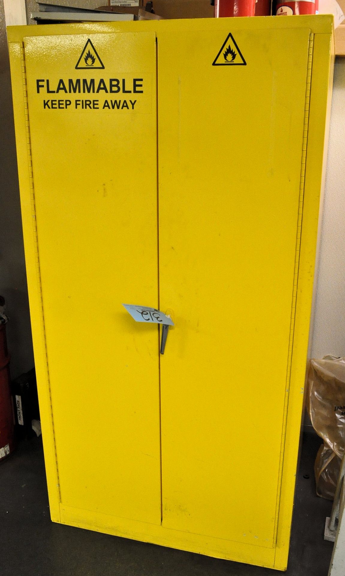 2-Door Tall Safety Cabinet with Contents