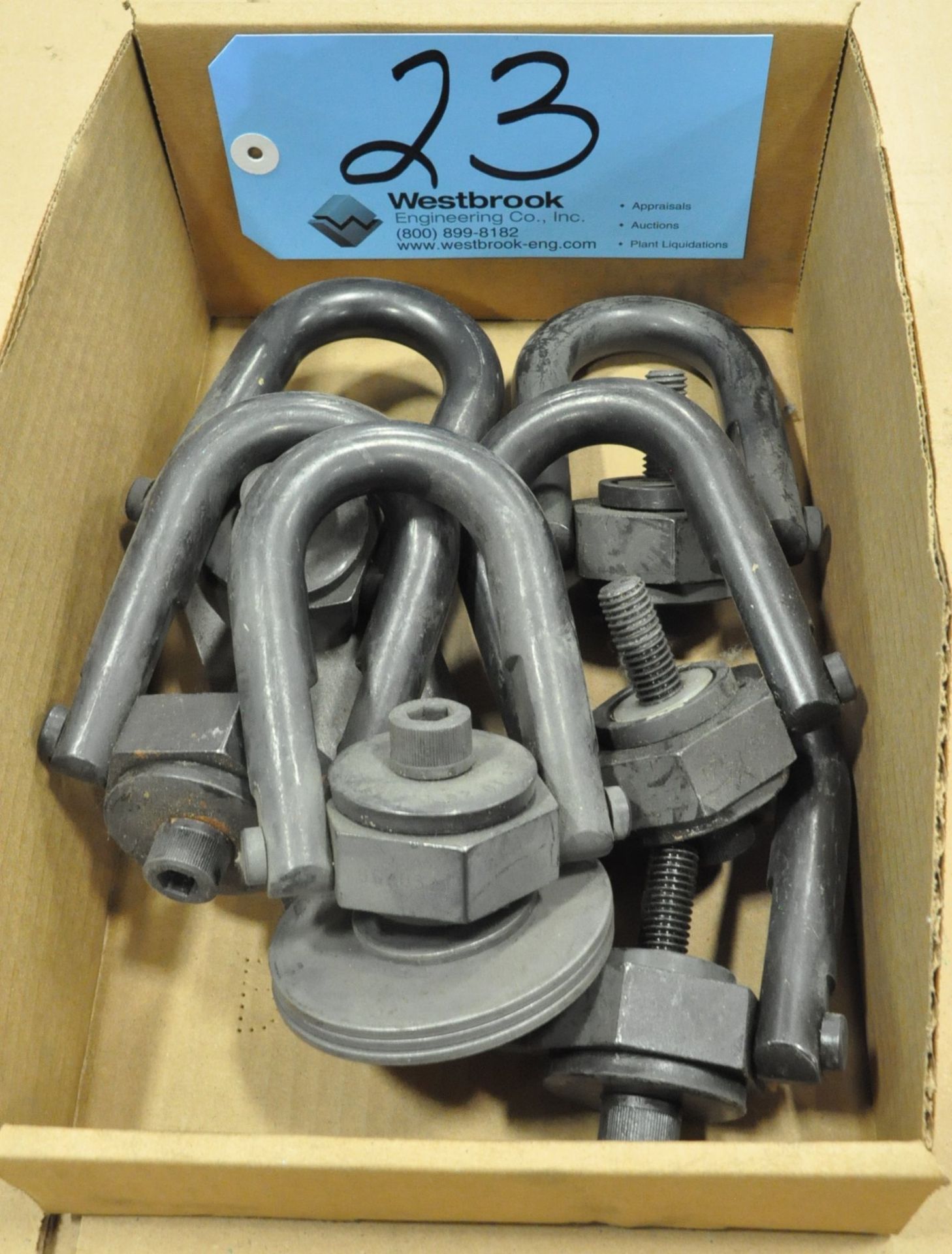 Lot-Die Lifting Rings in (1) Box