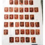 STAMPS - ALBUM PAGE OF 35 PENNY REDS