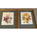 PAIR OF FRAMED BOTANICAL STUDIES