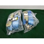 Two 5m long ratchet tie down straps