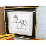 A framed print of a horse Cavallo