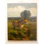 A Victorian unframed oil painting of a donkey (as found) 30" x 24"