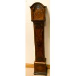 A Westminster chiming grandmother clock in a burr walnut case Height 65 inches