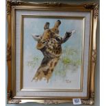 Tony Forrest original oil on canvas painting study of a giraffe,