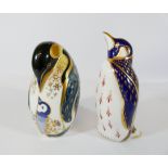 Two Royal Crown Derby penguin paperweights
