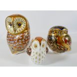 A collection of three Royal Crown Derby bird paperweights Owlet Guild exclusive,