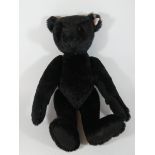 A Steiff black jointed Teddy Bear UK Limited Edition with box and certificate, 35cms long,