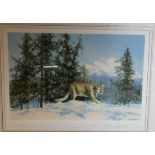 David Sheppard signed limited edition print Mountain Lion number 209/350 framed and glazed together