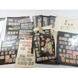 A box of assorted Commonwealth and Great British stamps on loose pages including Falklands,